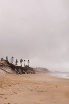 在巴西弗洛里亚诺波利斯的阴暗海滩，探索宁静之美