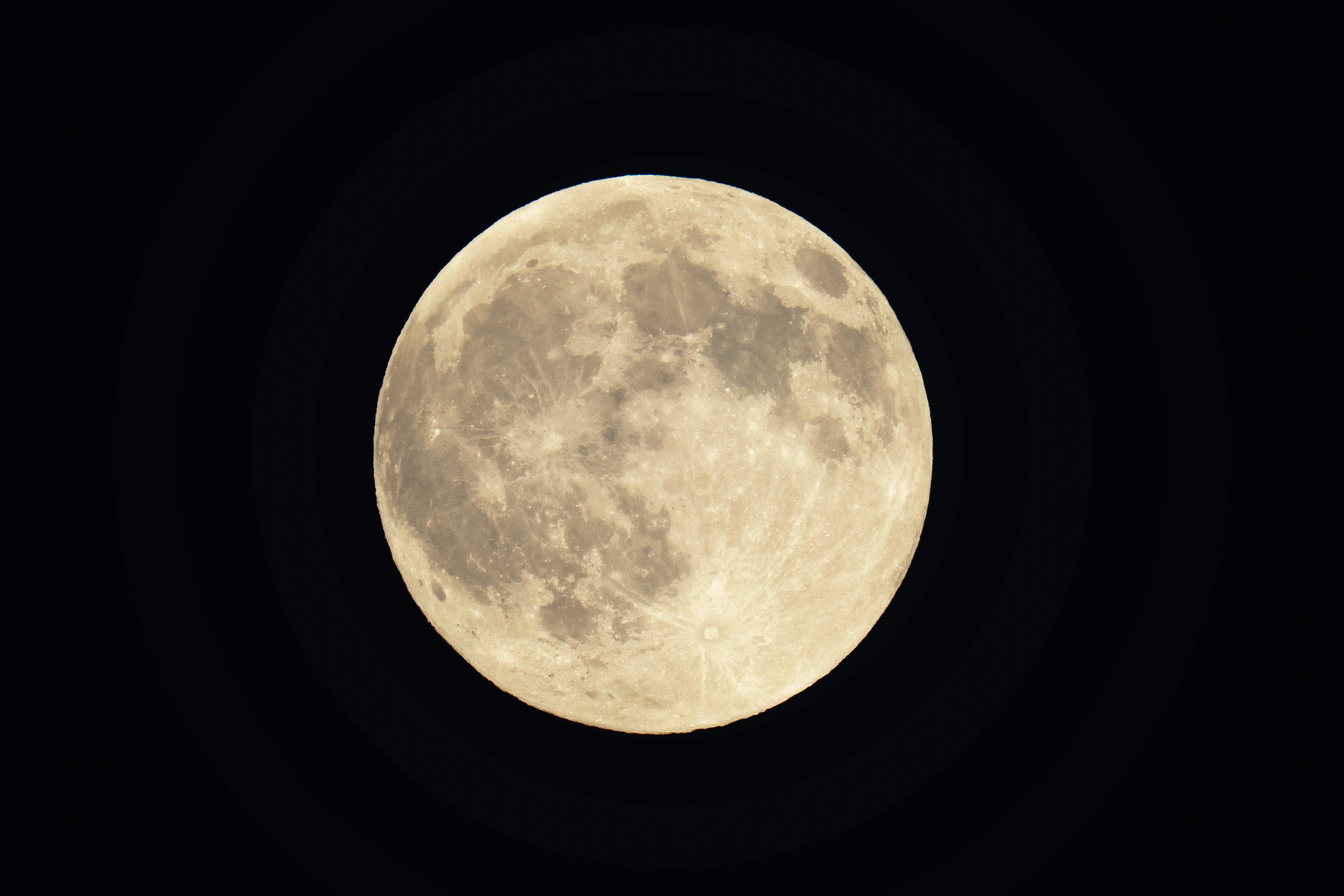 Alien Encounters: Examining Possible Evidence and Viral Stories