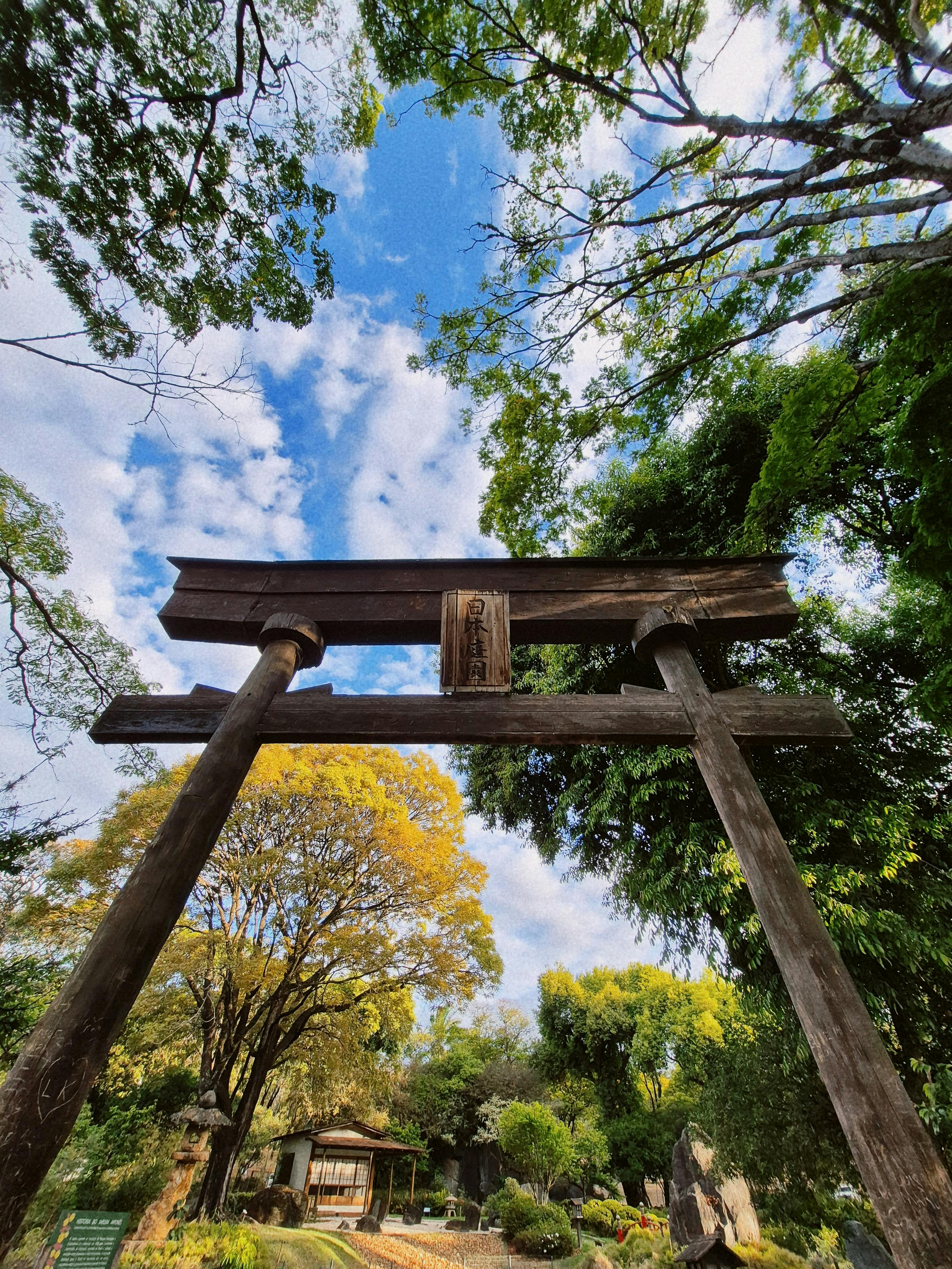 传统的日本鸟居门矗立在蓝天下，周围是郁郁葱葱的绿色植物