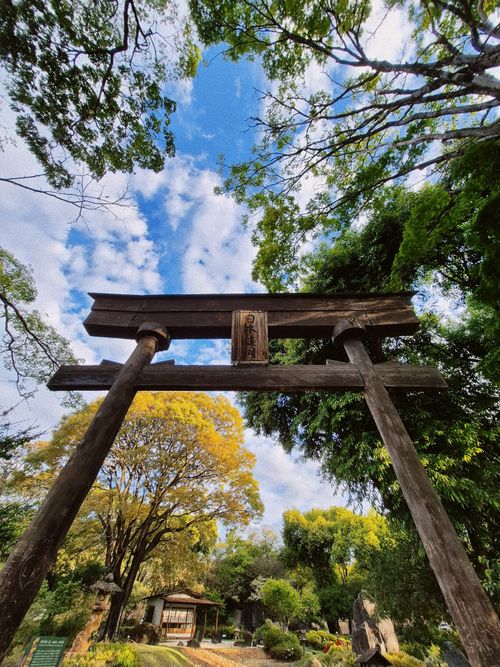 Free A traditional Japanese torii gate stands under a vibrant blue sky surrounded by lush greenery. Stock Photo