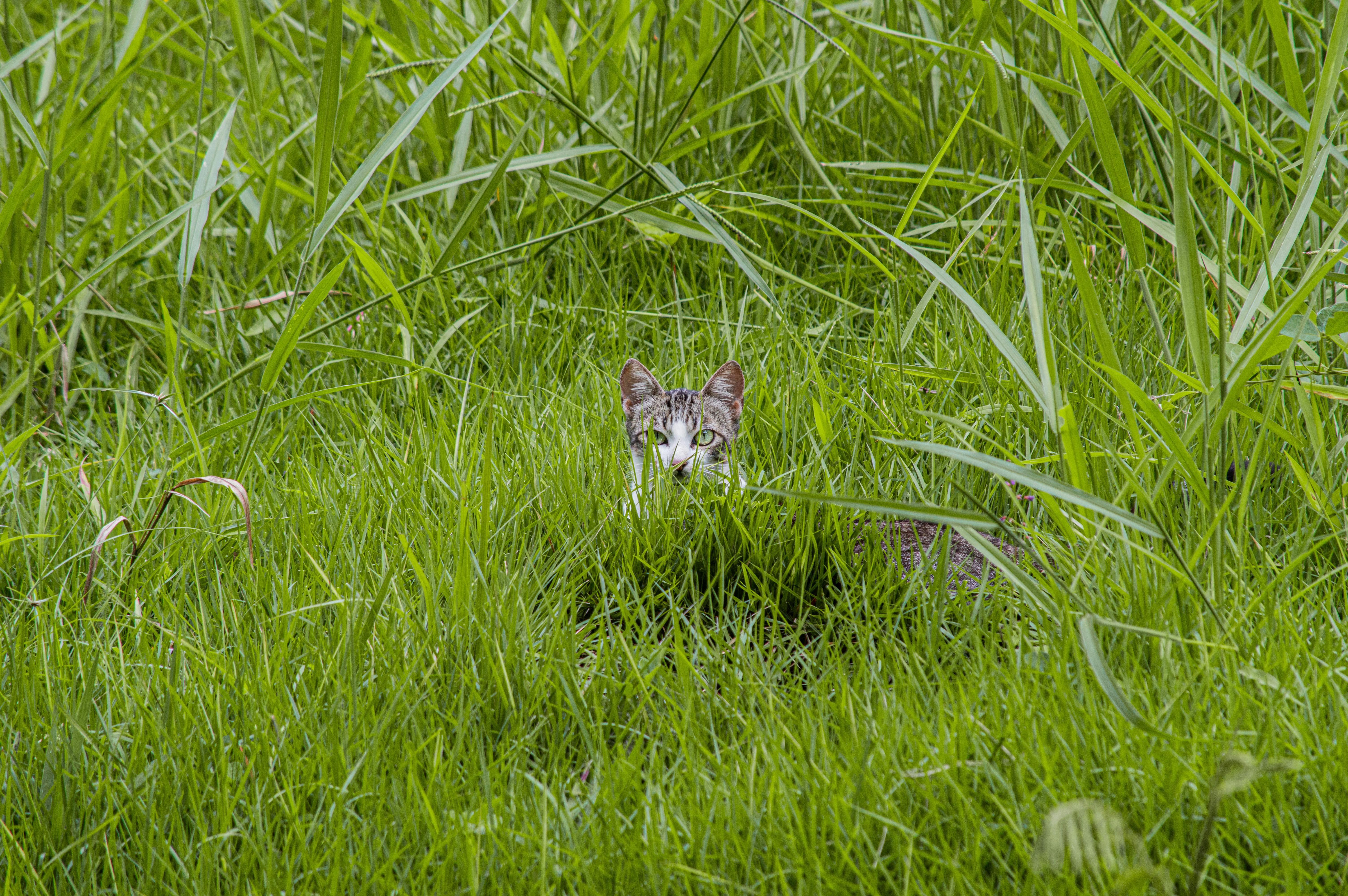 生活：上午7時52分北部有感地震，民眾迅速報告無災情