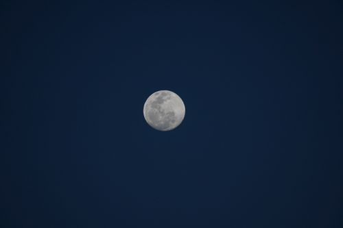 Free High-resolution image of a full moon illuminated against a dark night sky, ideal for lunar themes. Stock Photo