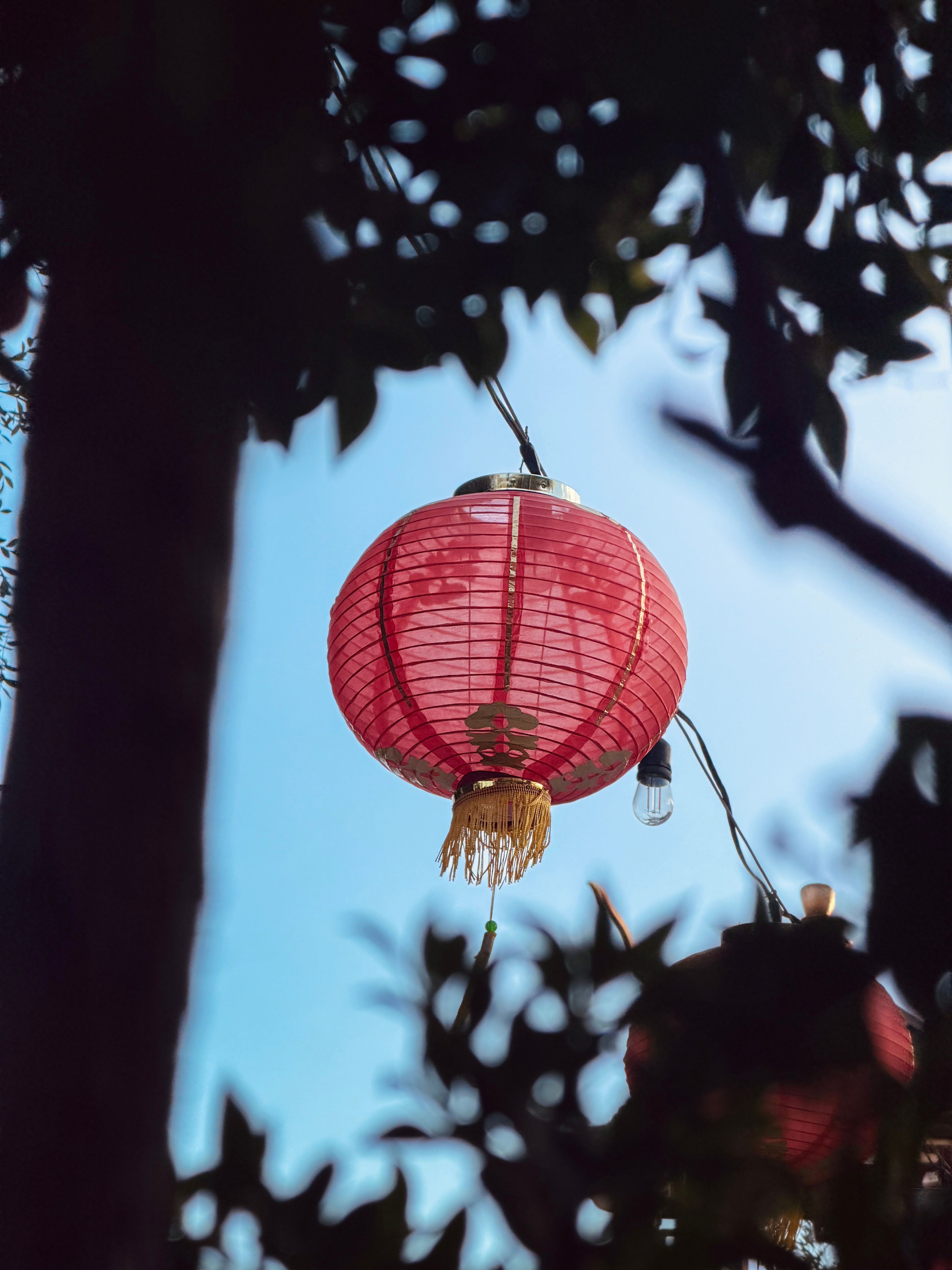 Traditional Red Chinese Lantern Hanging Outdoors · Free Stock Photo