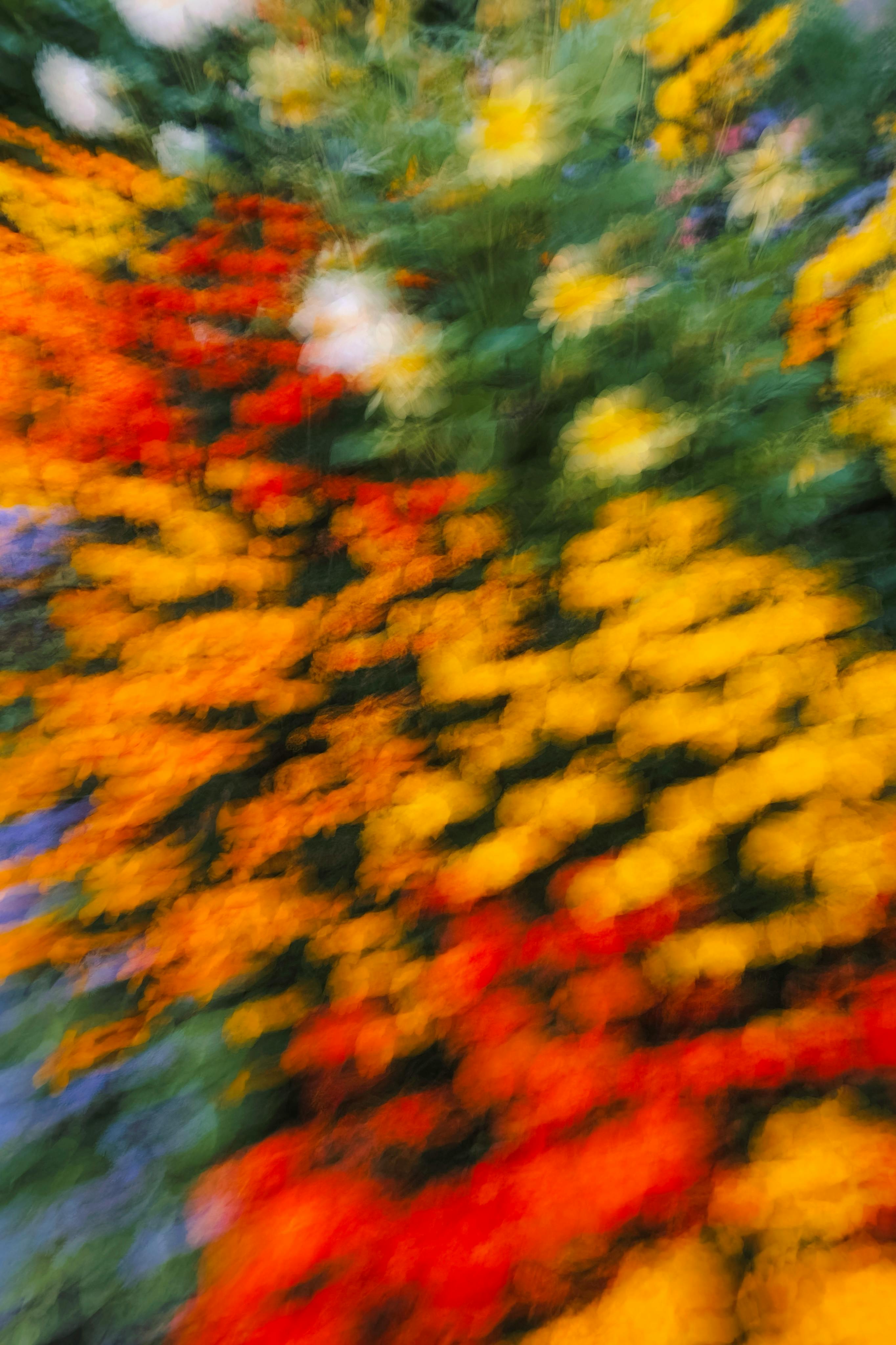 Abstract image featuring a vibrant motion blur of colorful flowers, creating an artistic effect.