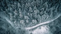冬季的空中景观展示了克罗地亚白雪覆盖的森林，呈现出霜冻树木与蜿蜒小路的宁静景色