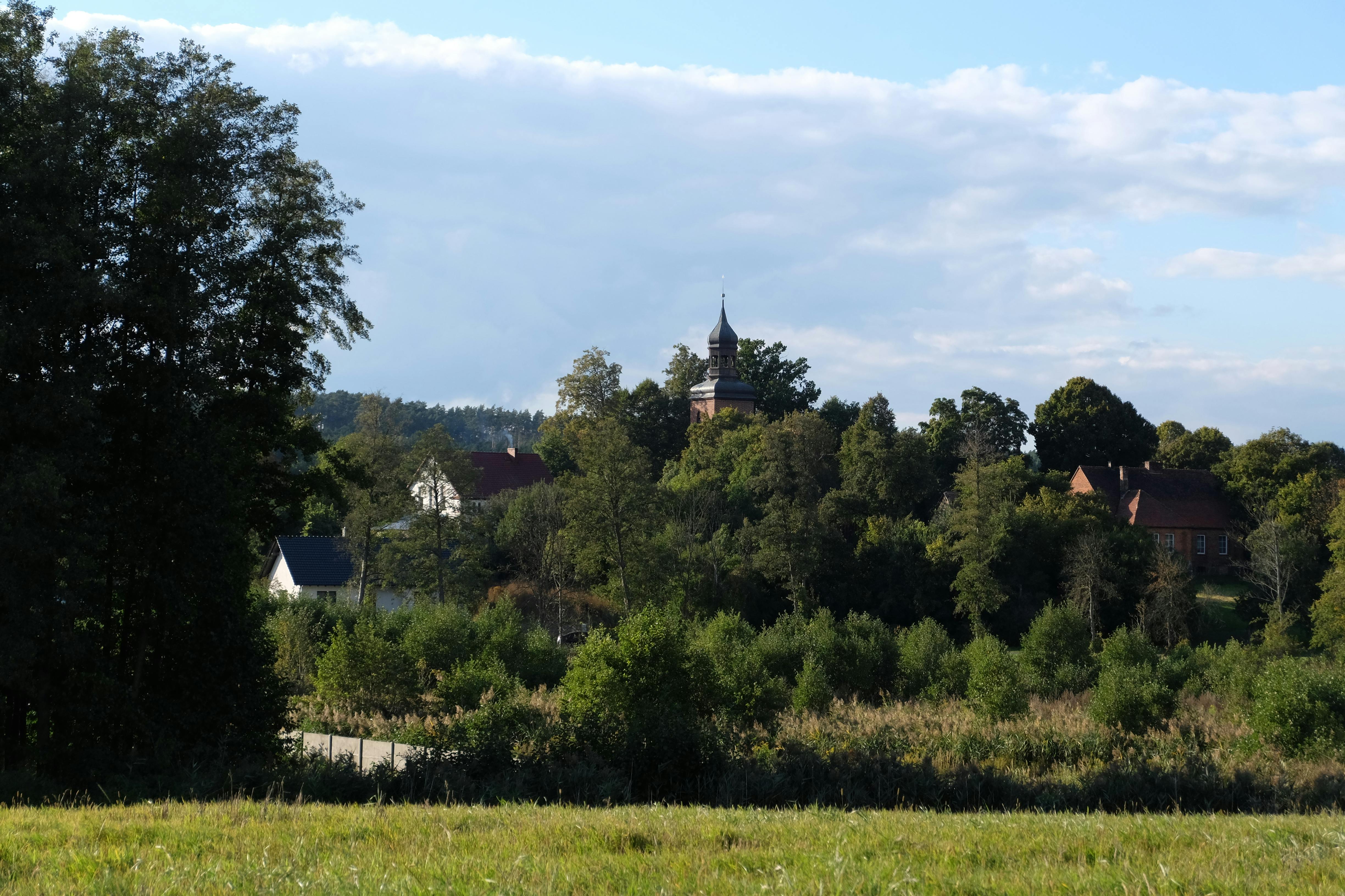 田园诗般的乡村景观，以树木、房屋和蓝天下的教堂塔楼为特色