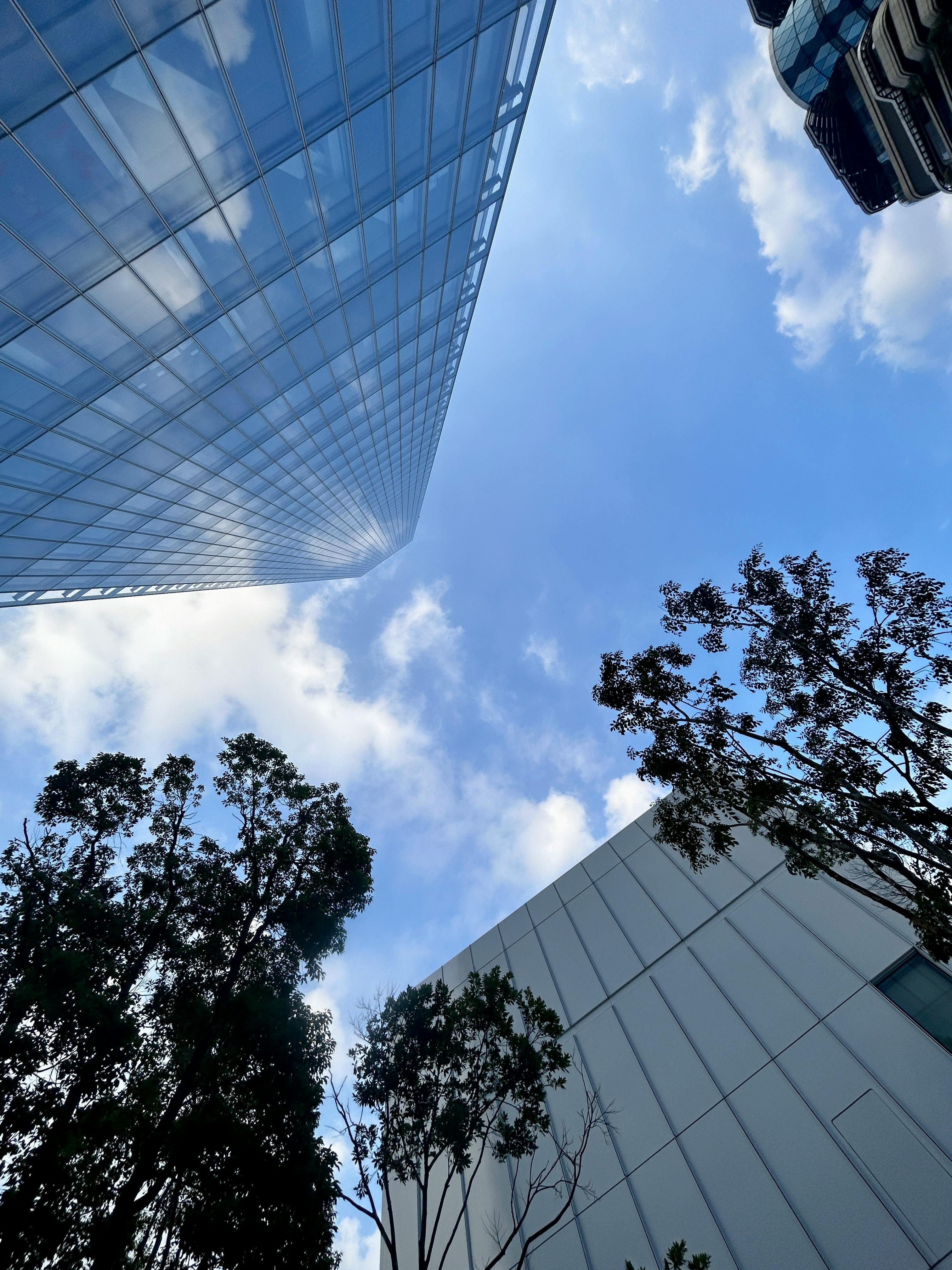 好的，请提供您希望我优化的中文句子