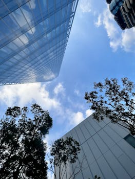 好的，请提供您希望我优化的中文句子