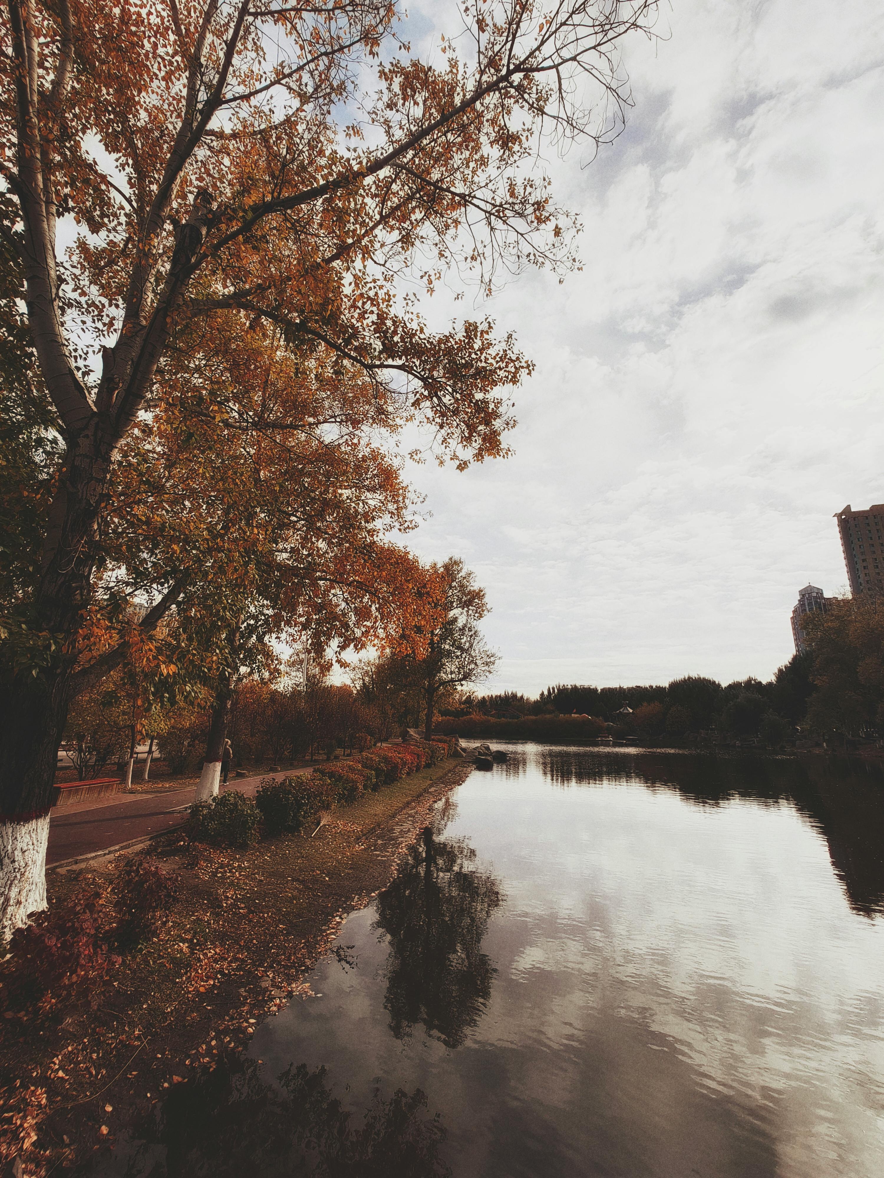 好的，以下是优化后的句子：
请告诉我您需要修改的内容