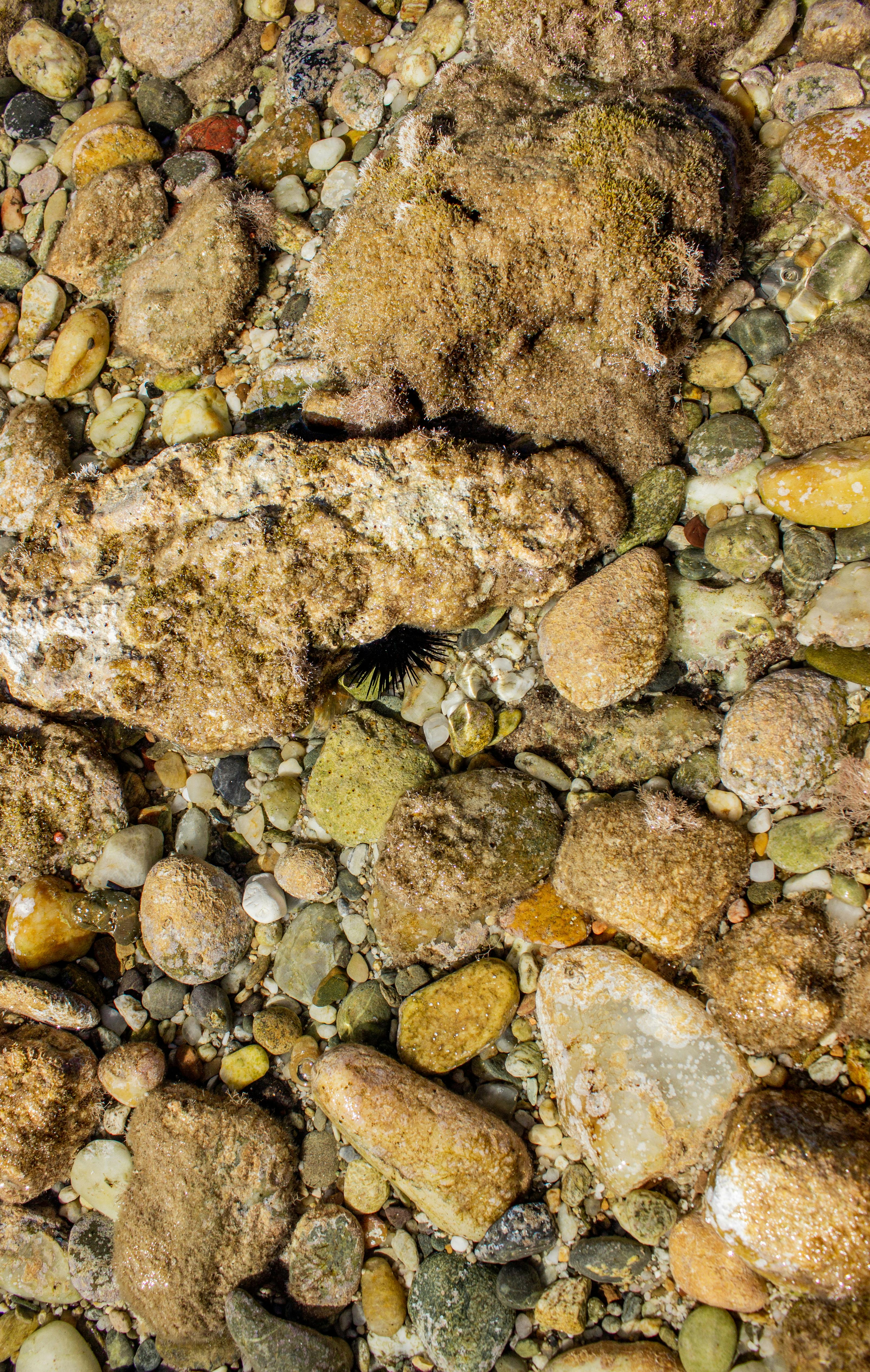 希腊哈尼奥蒂浅水下，鹅卵石充满活力，大自然的多彩安排显得完美和谐