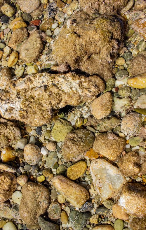 Free Vibrant pebbles under shallow water in Hanioti, Greece. Nature's colorful arrangement in perfect harmony. Stock Photo