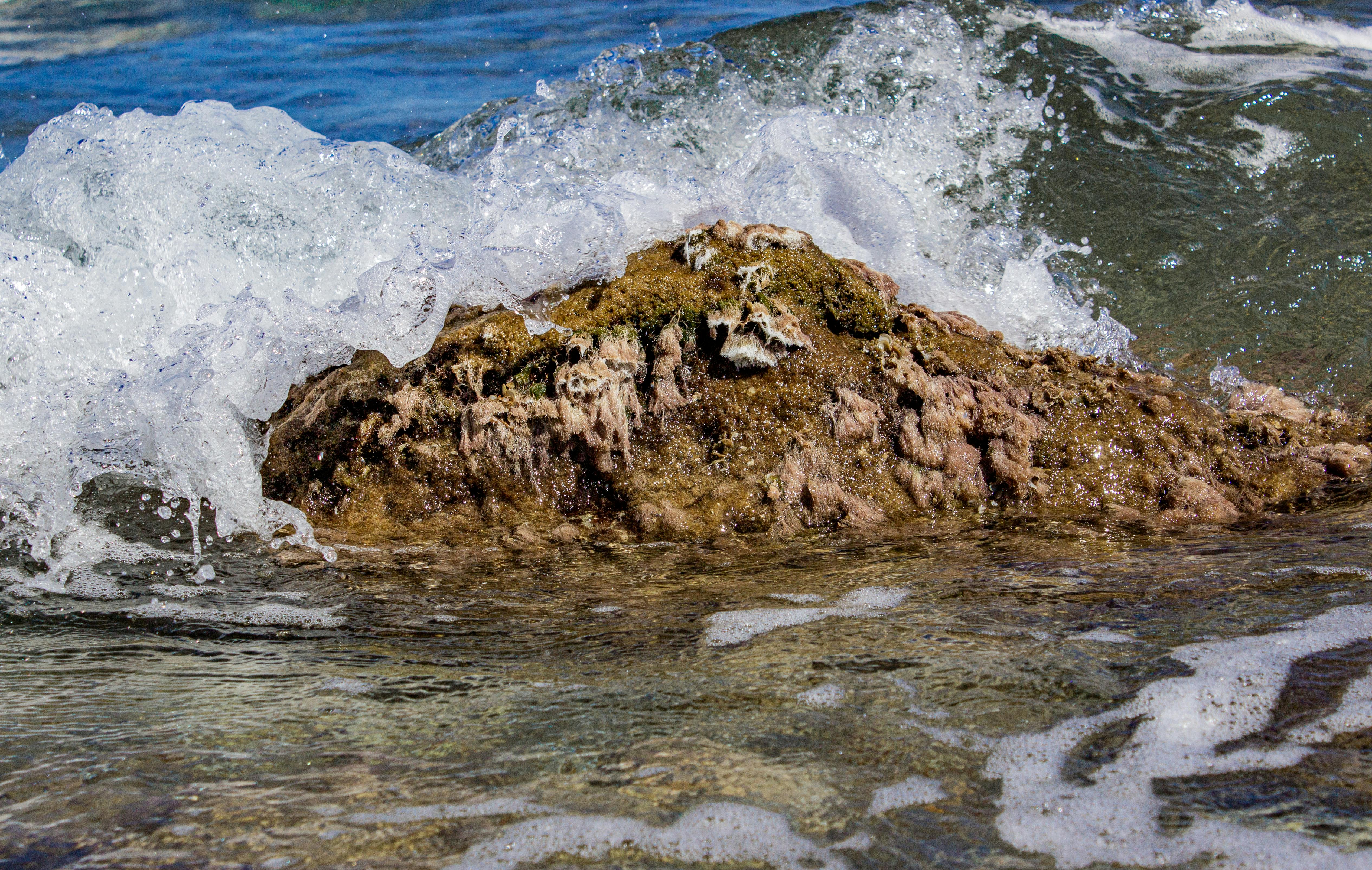 在希腊哈尼奥蒂，动态的海浪拍打着岩石海岸，描绘出自然的海洋美景