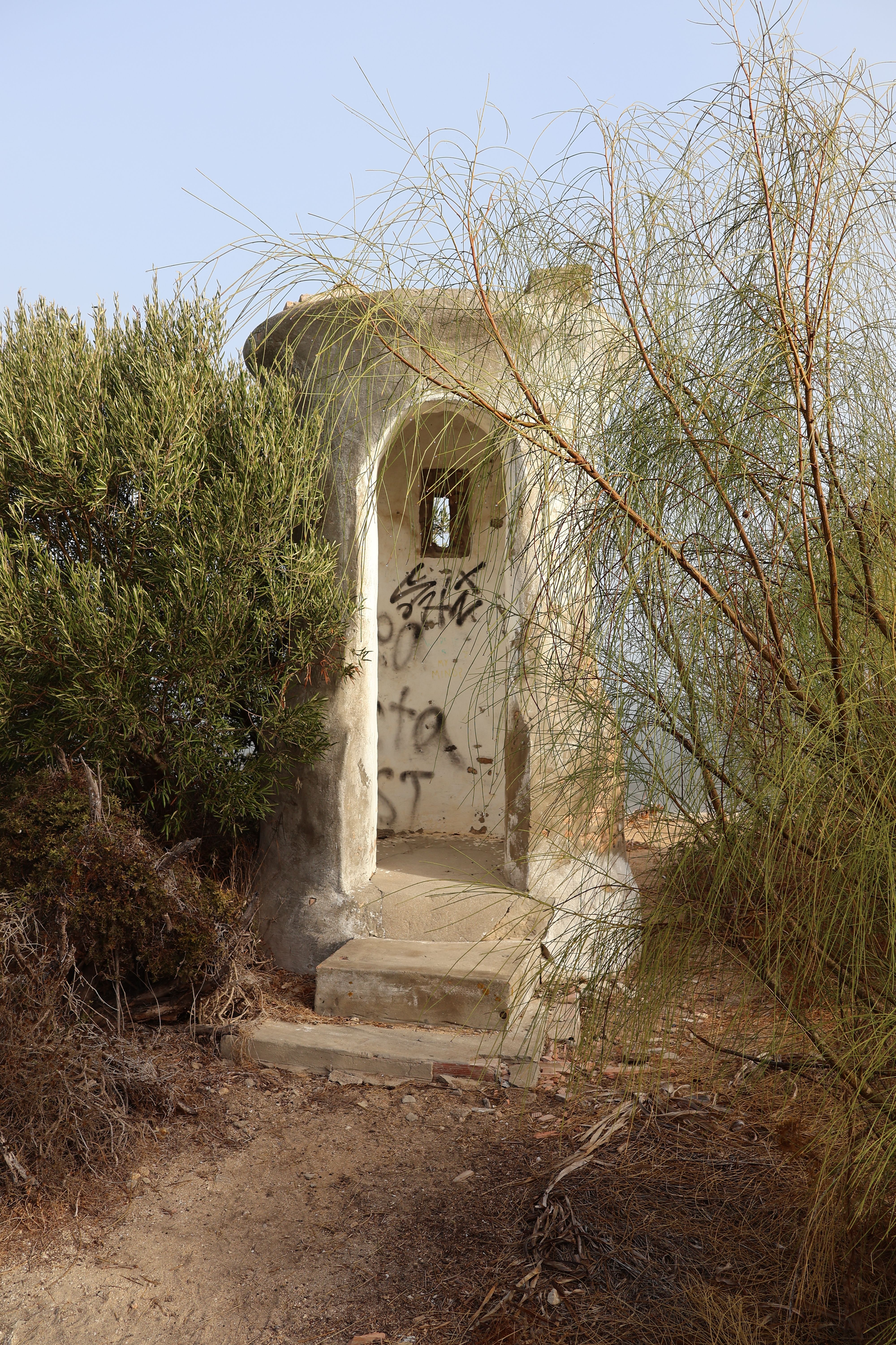 Graffiti-covered abandoned structure surrounded by lush plants in San Fernando.