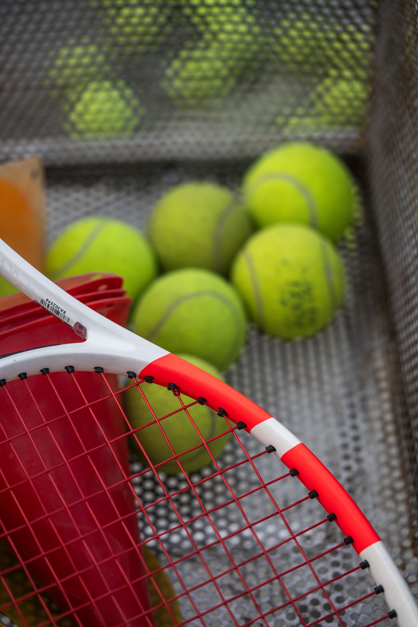 Tennis Racket Photos, Download The BEST Free Tennis Racket Stock Photos ...