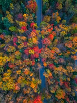 Stunning aerial photo of a colorful autumn forest with a winding road.