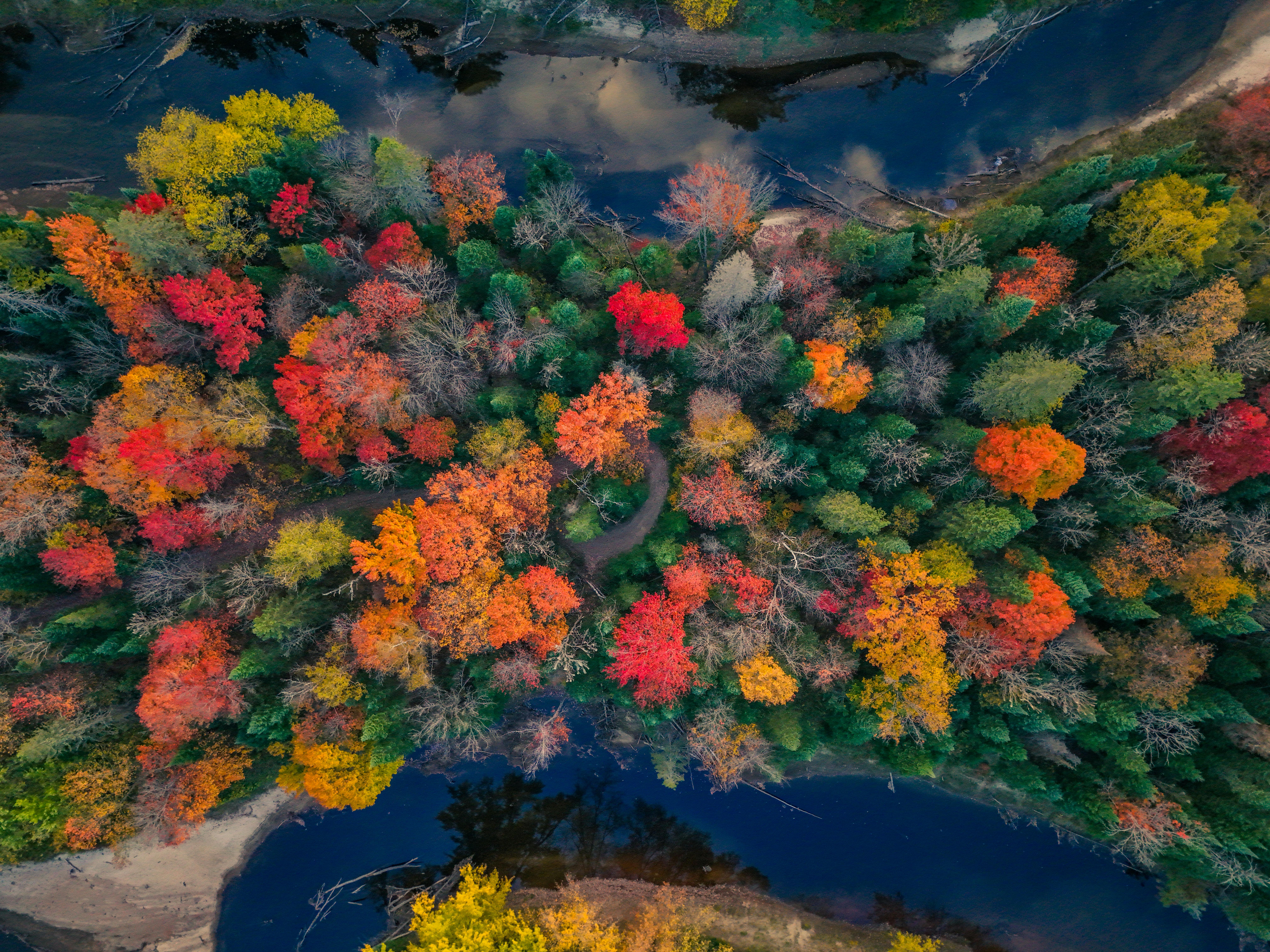 Gratis Splendida ripresa aerea di una foresta nel pieno splendore autunnale, con fogliame vivido e un fiume tortuoso. Foto a disposizione