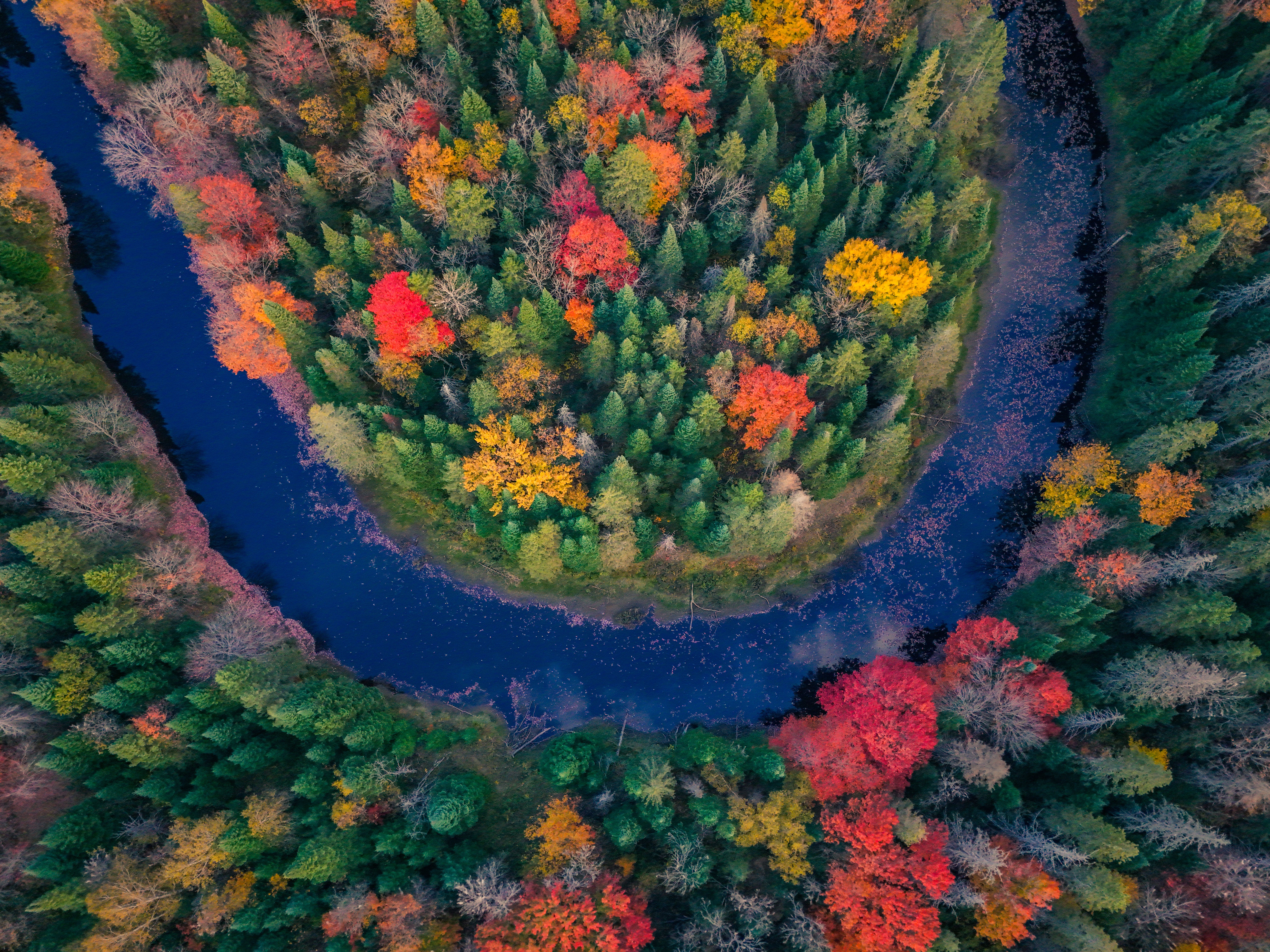 Aerial View of Vibrant Autumn Forest and River Bend · Free Stock Photo