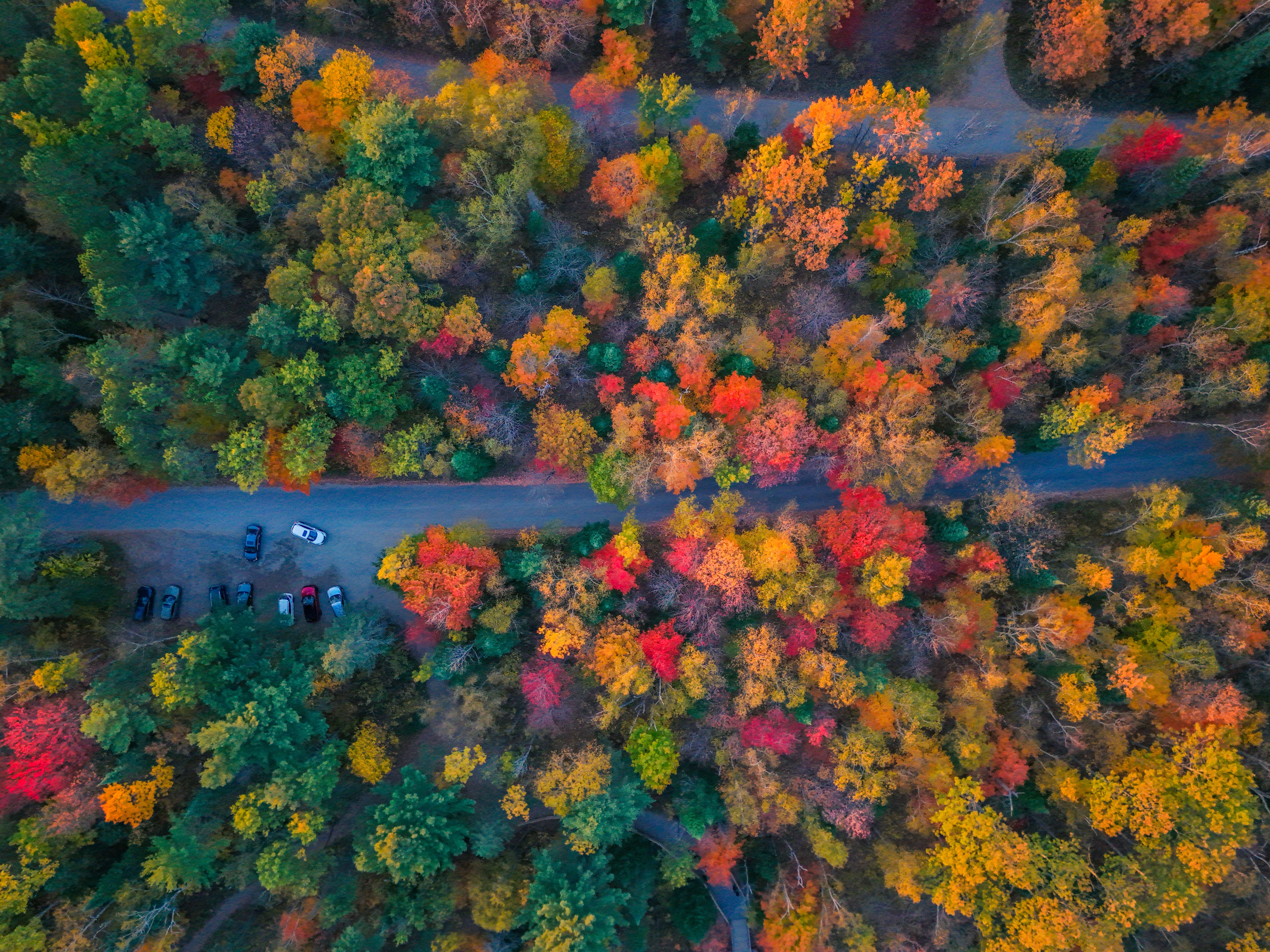 Aerial View of Vibrant Autumn Forest Road · Free Stock Photo