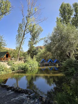 好的，我会按照您的要求进行句子优化