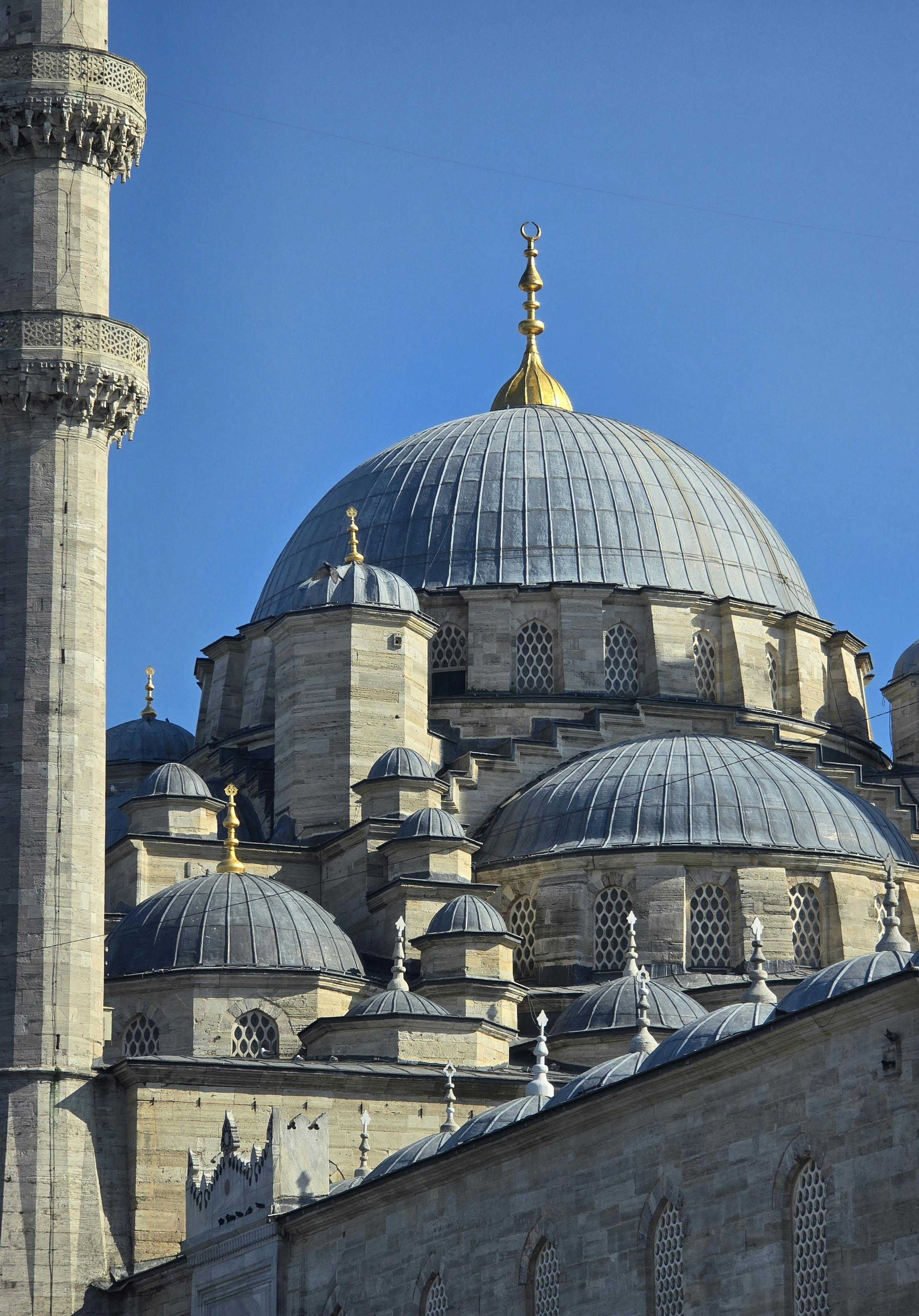 好的，我会遵循您的要求进行句子的优化