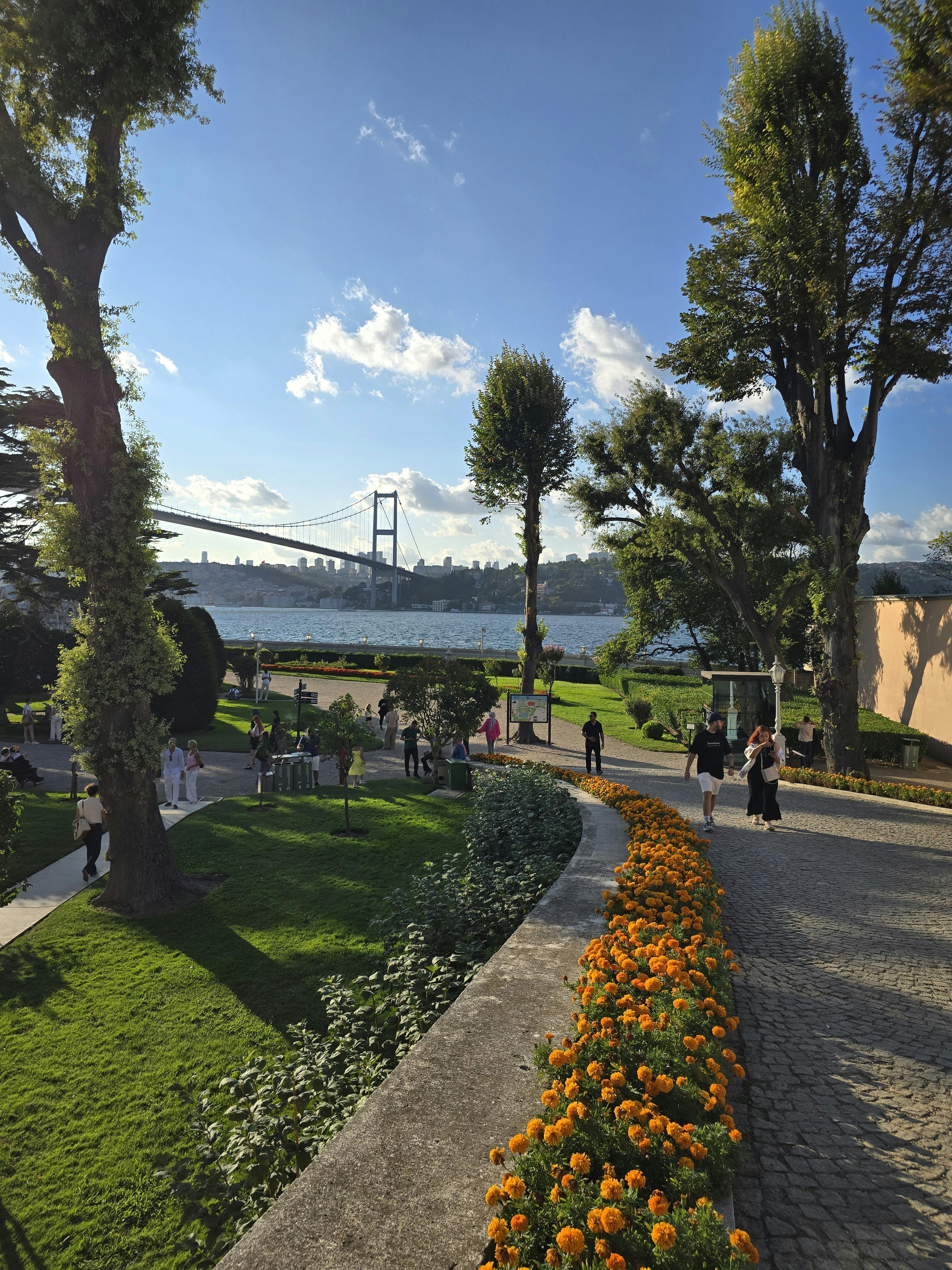 好的，我明白了