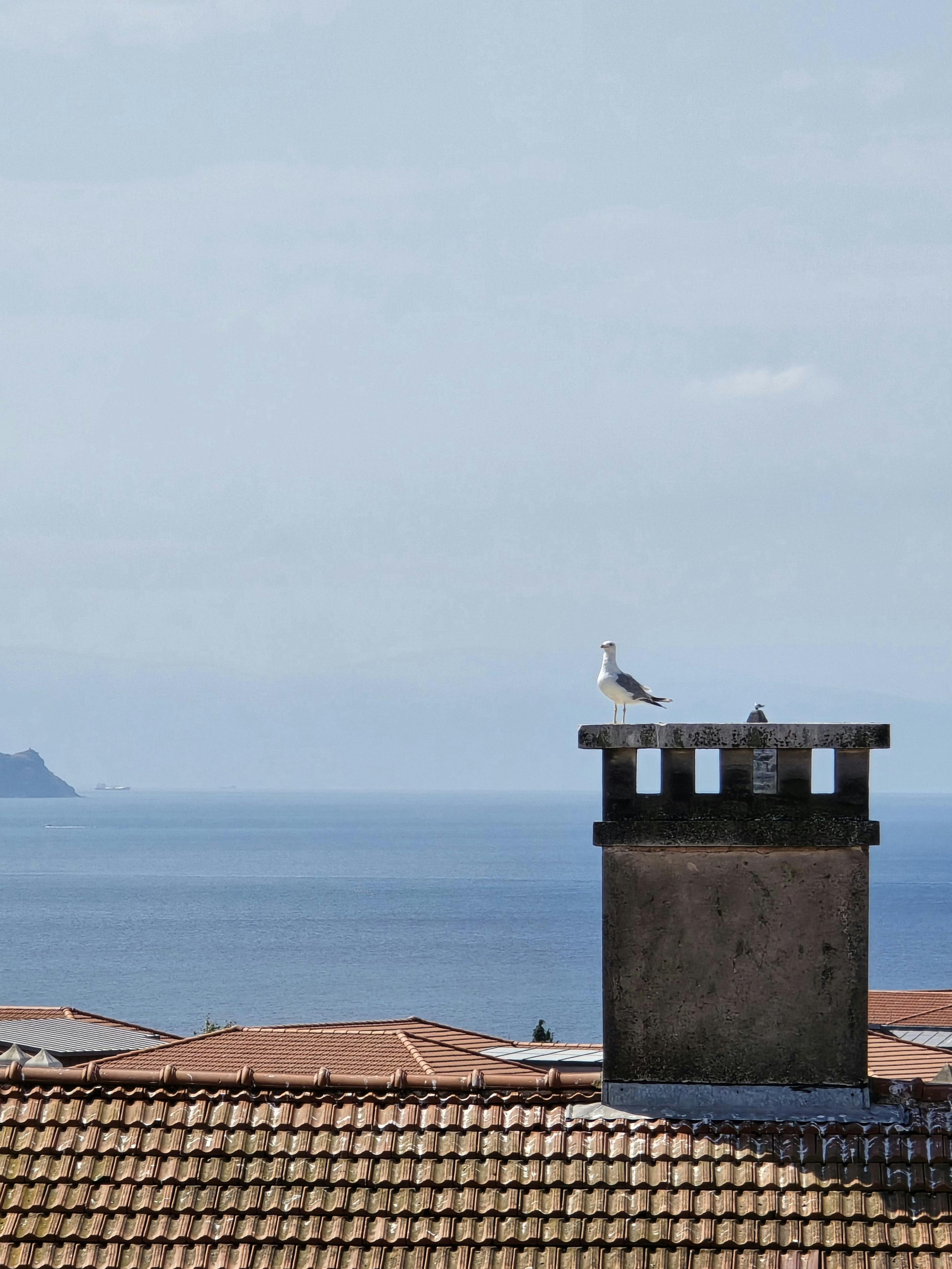 好的，我会按照您的要求进行句子的调整