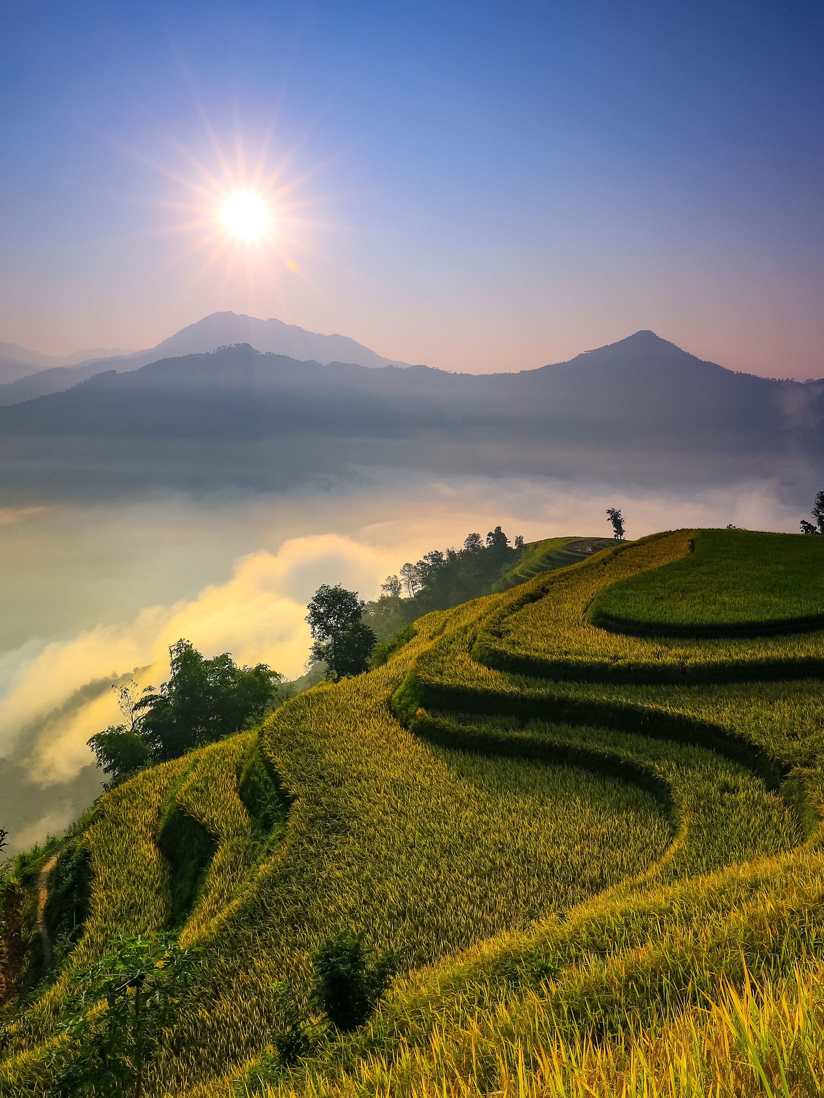 Stunning Sunrise Over Hà Giang Rice Terraces · Free Stock Photo