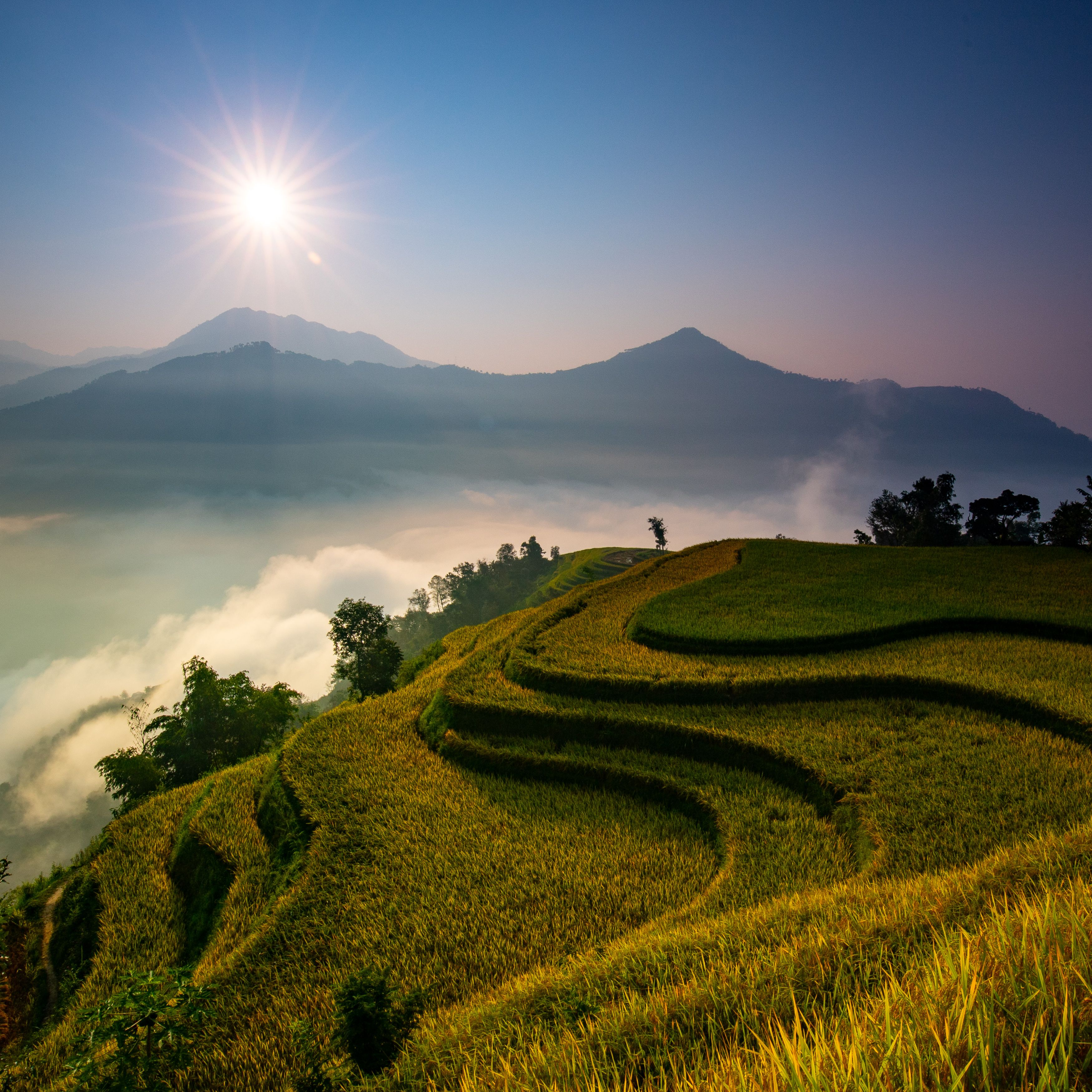 Biomes and Food Production Systems
