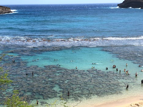 Photo by Adrian Rios Hawaii Remains Less Reliant on Federal Funds, Shaping State Budget and Business Outlook