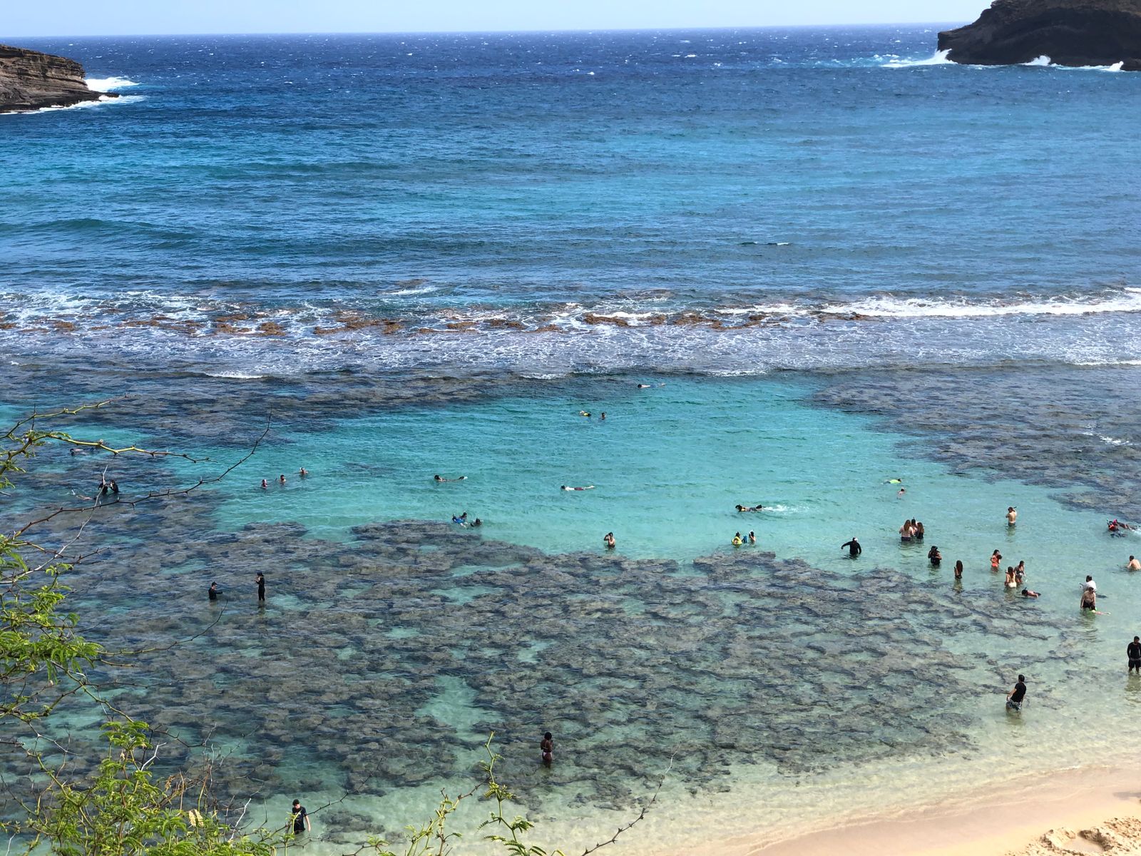 Snorkelers over the shallow reef at Hanauma Bay