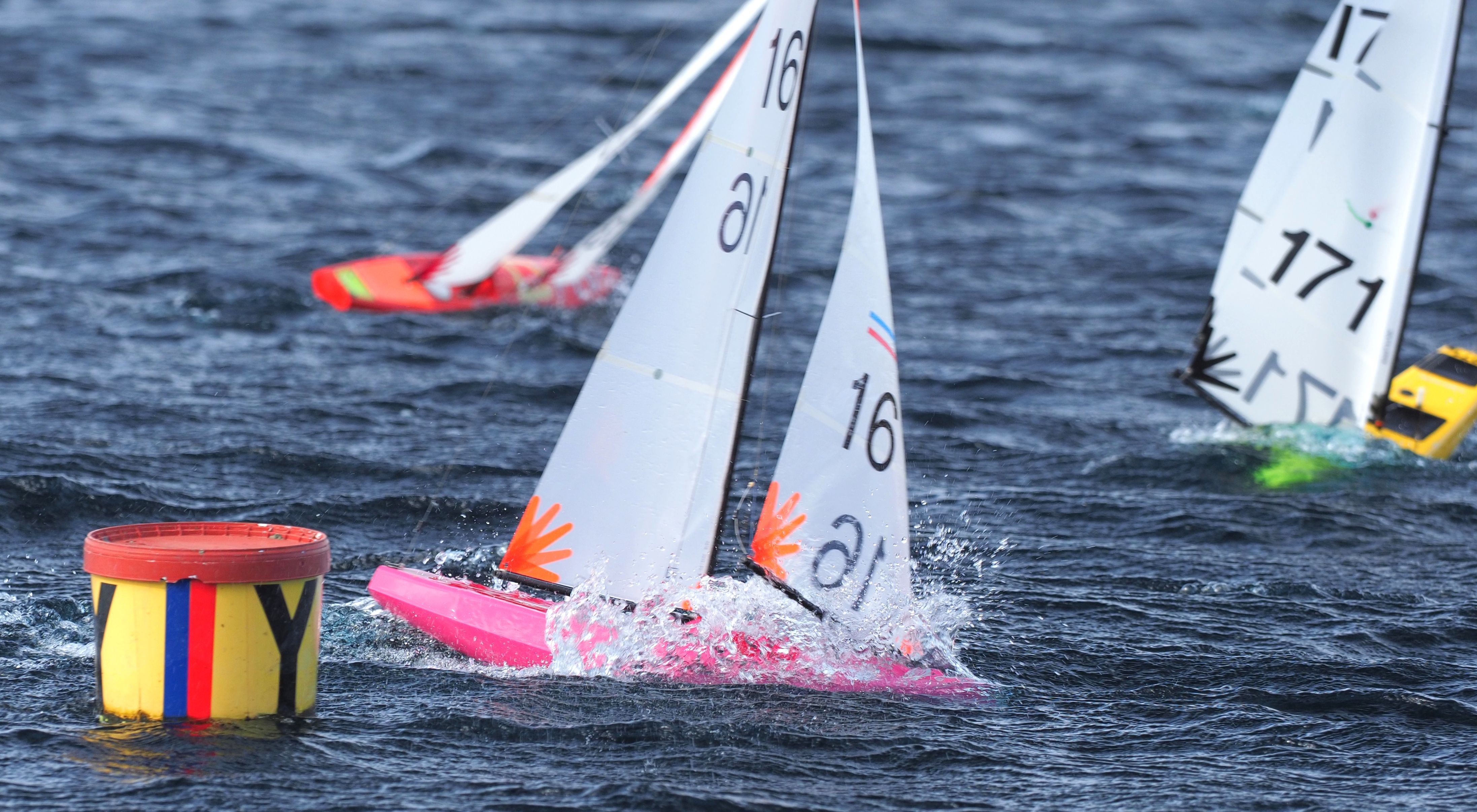 Remote-Controlled Model Sailboat Race on Water · Free Stock Photo