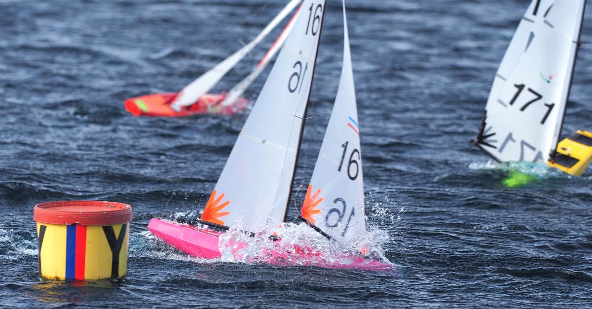 Remote Control Yacht Races Remote-Controlled Model Sailboat Race on Water · Free Stock Photo