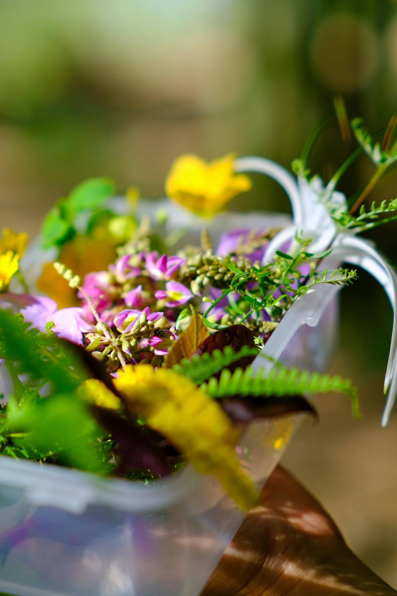 Ỷ thiên đồ long ký | Chương 19