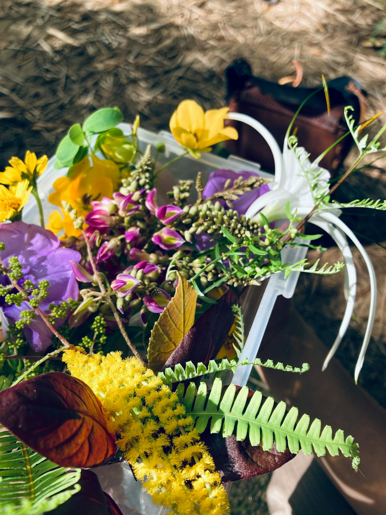 Thám tử lừng danh Conan | Chương 0380