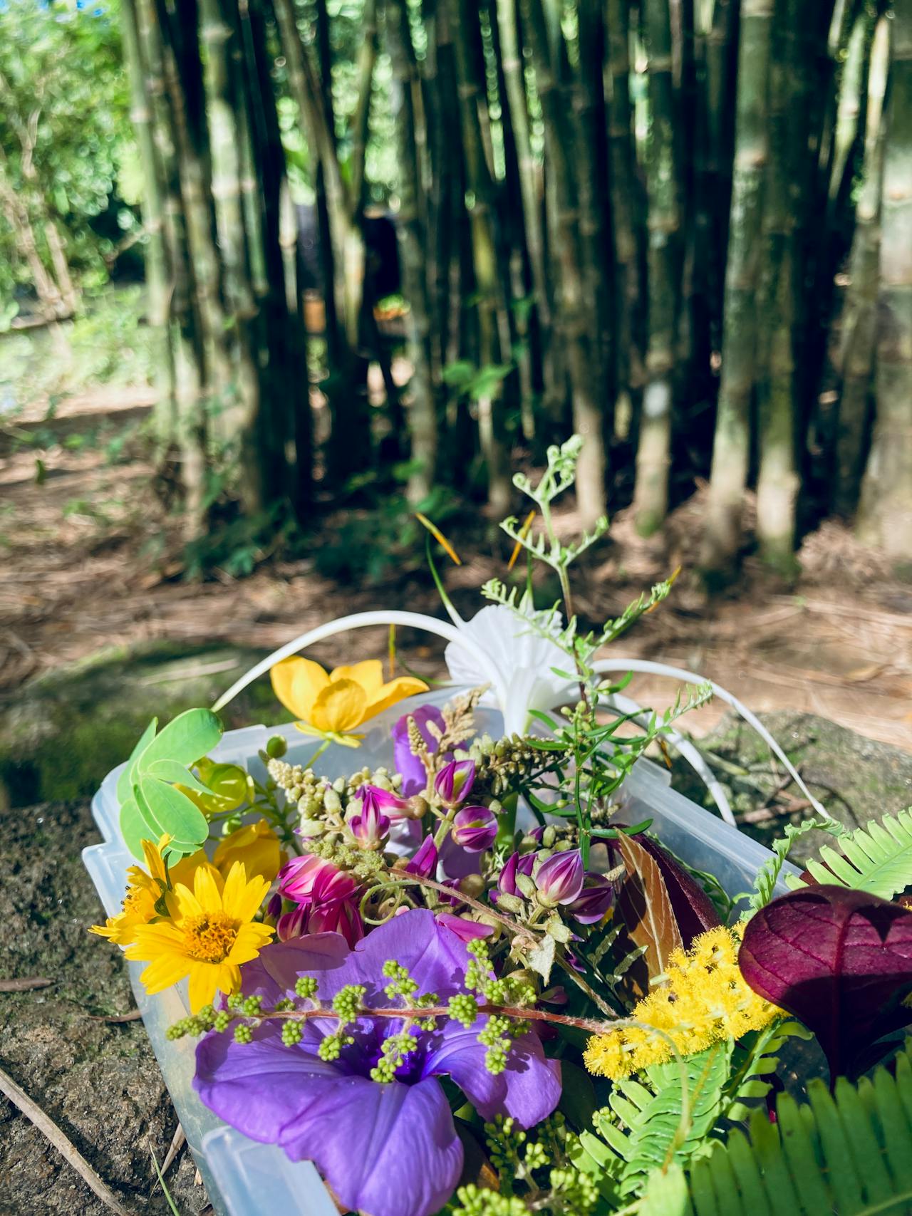 Màu sắc Vũ trụ được tô vẽ như thế nào?