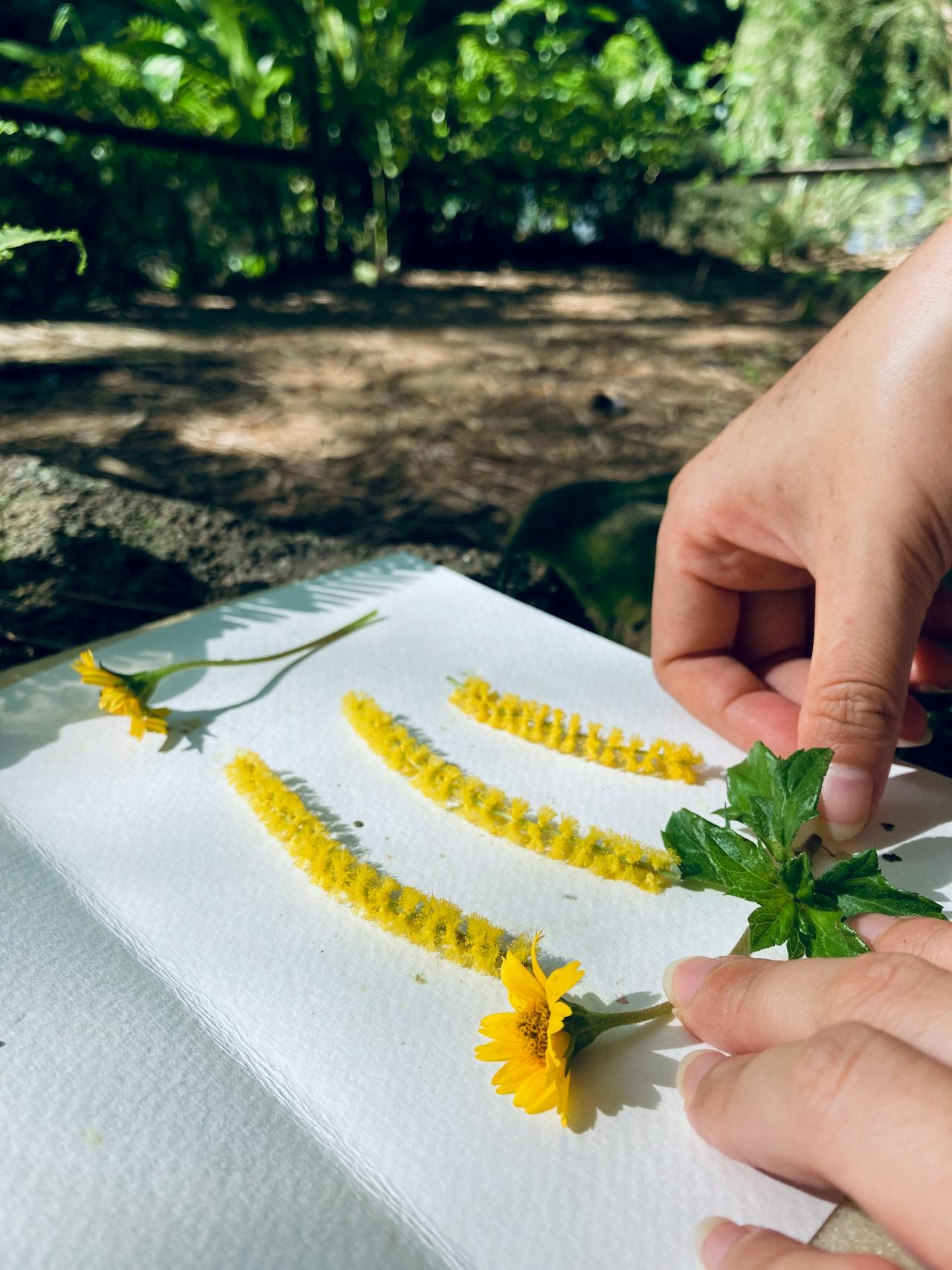 100+ caption, caption, câu nói, câu văn hay về lễ Giáng Sinh 25/12