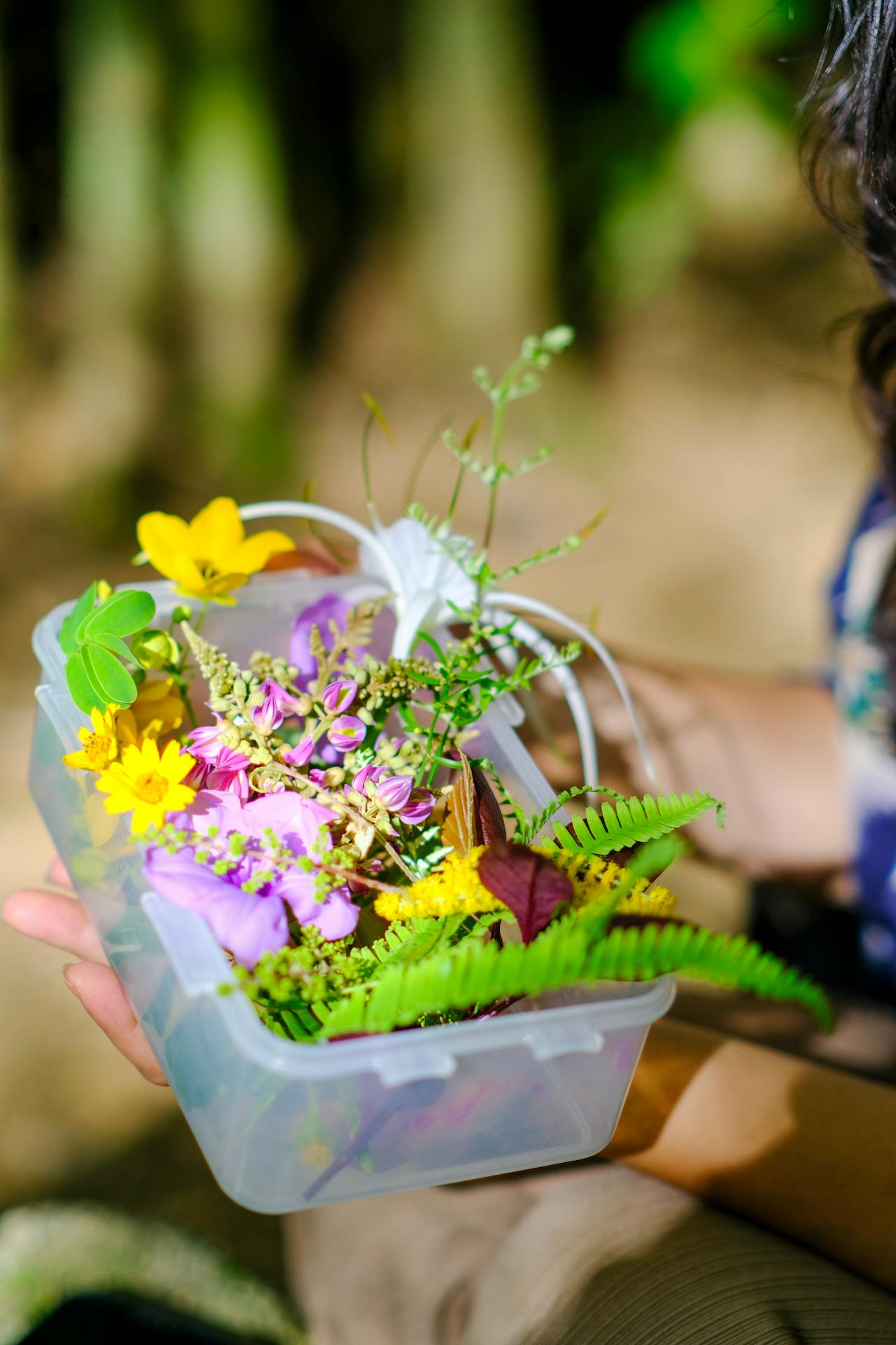 Cẩm nang du lịch Phú Quốc