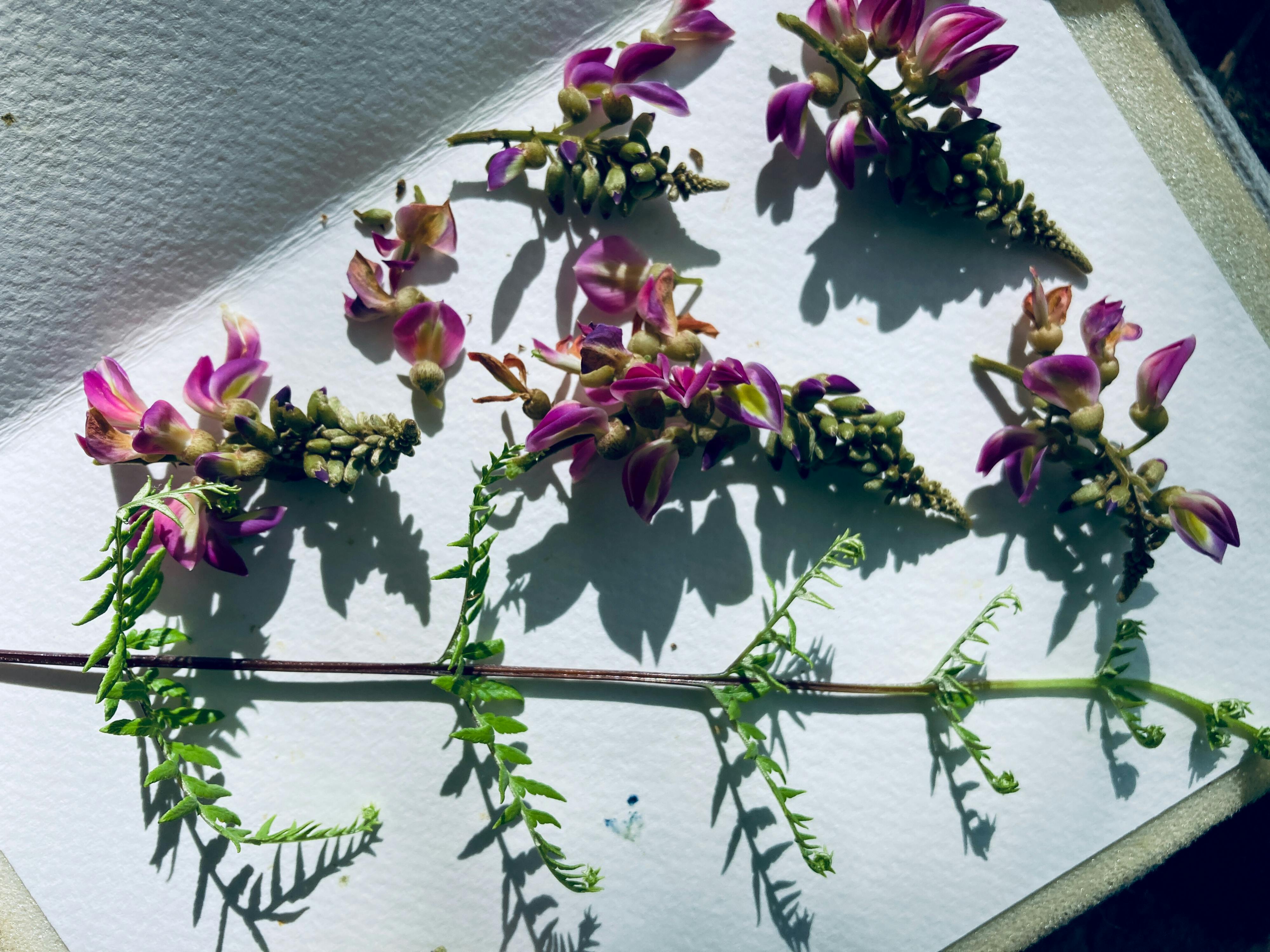 Danh sách theo thẻ ban-sac-do-thai, trang 3