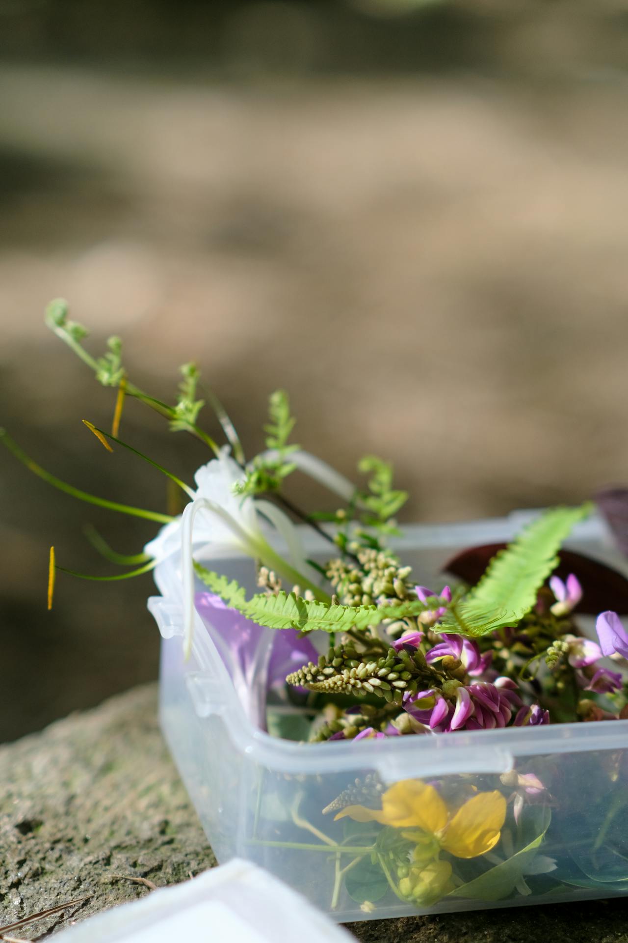 Chim lửa | Chương 22