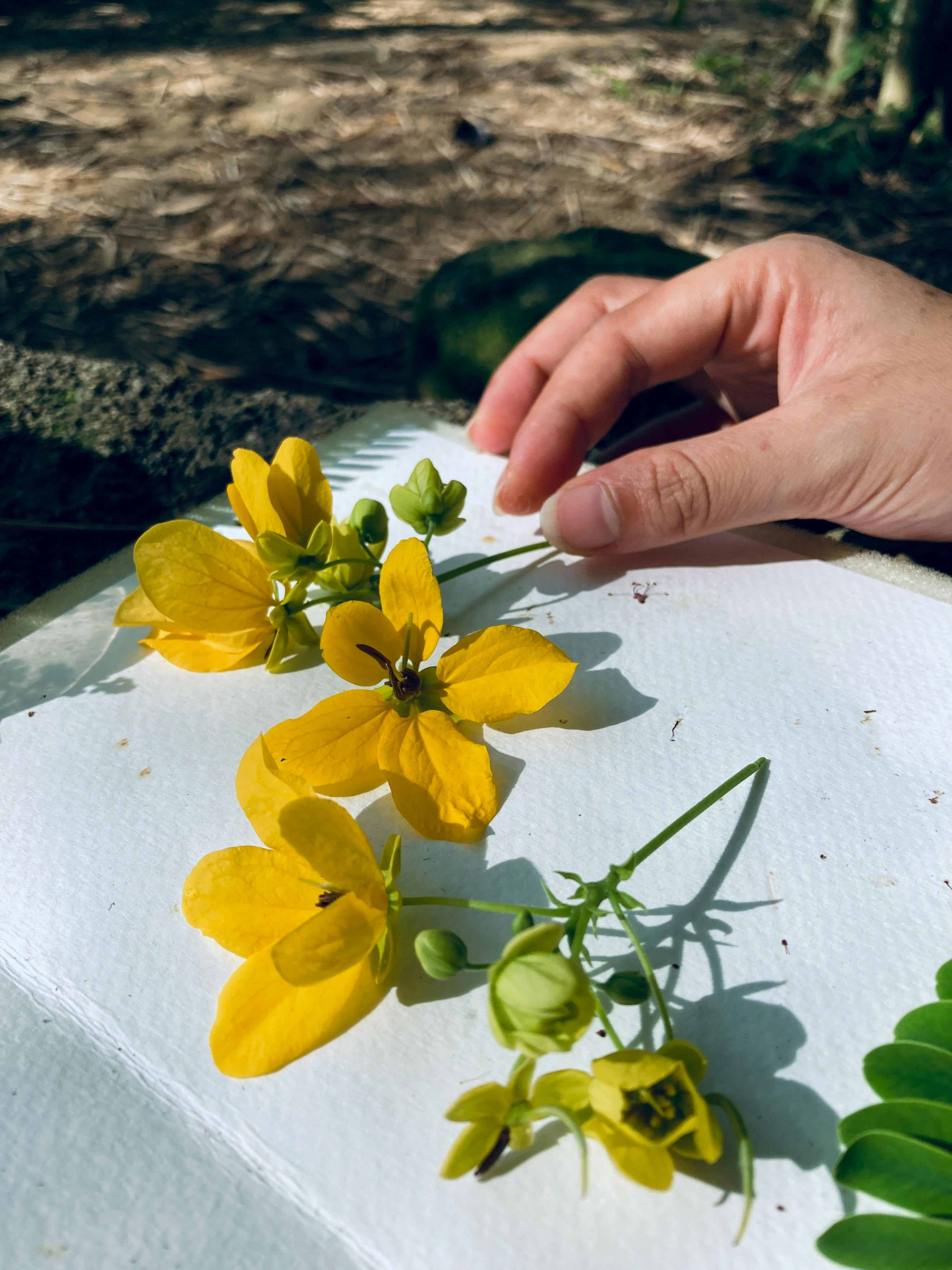 Trung tâm nghiên cứu văn học, phát triển nhà văn Việt Nam