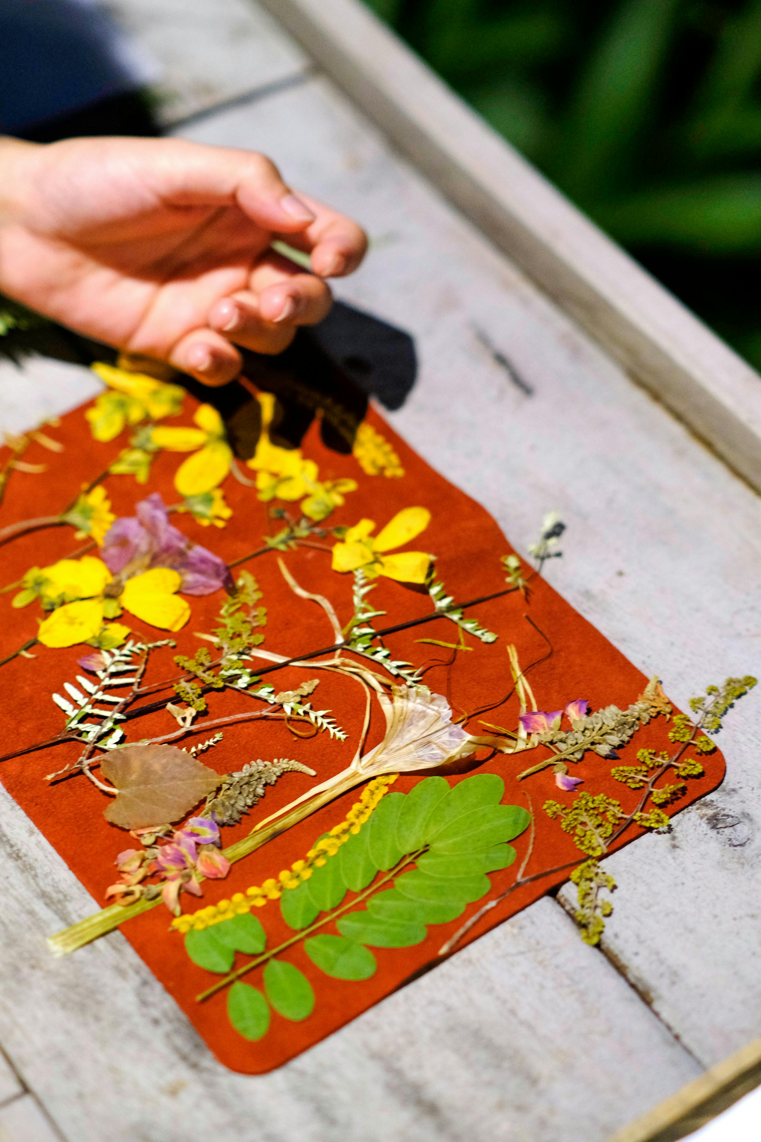 Trung tâm nghiên cứu văn học, phát triển nhà văn Việt Nam