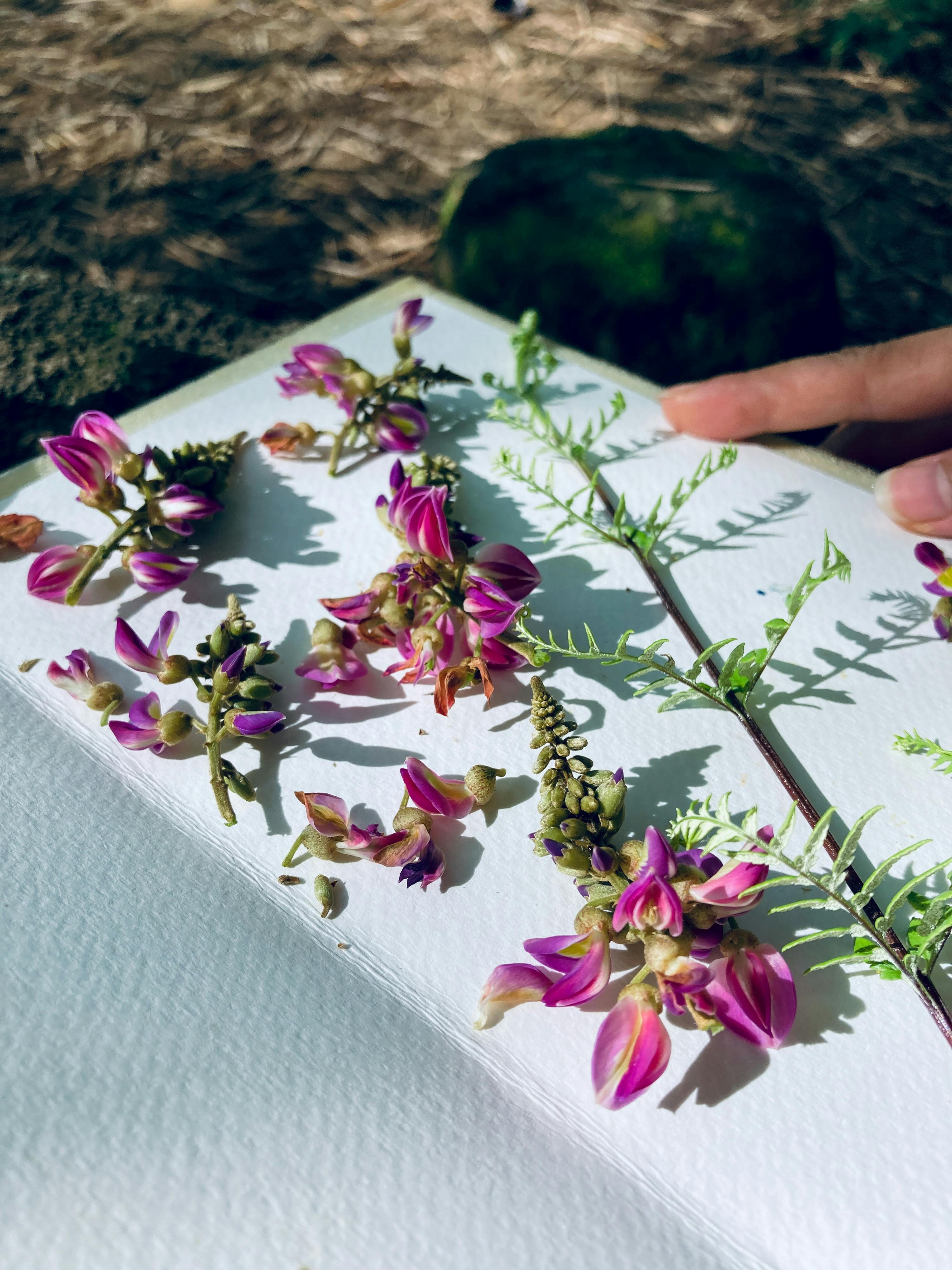 Trung tâm nghiên cứu văn học, phát triển nhà văn Việt Nam