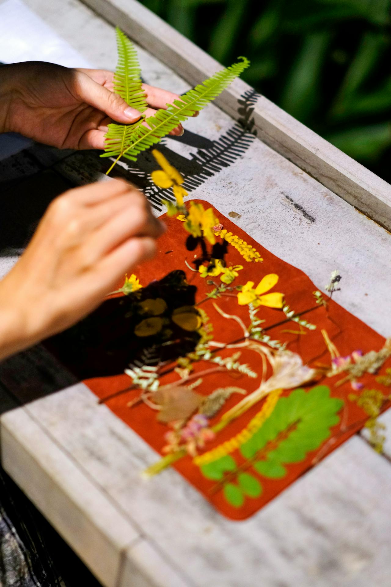 Đạo phật ngày nay | Chương 01