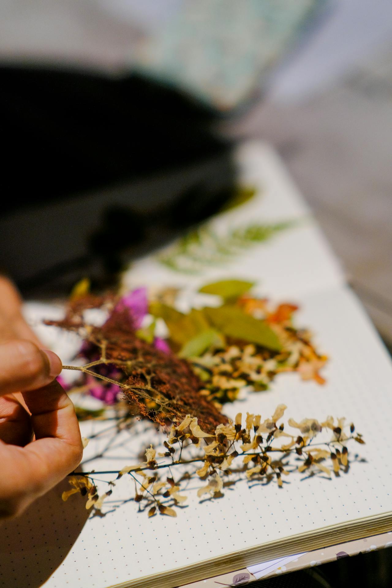 Chủ nghĩa khắc kỷ tiếp cận mối quan hệ độc hại