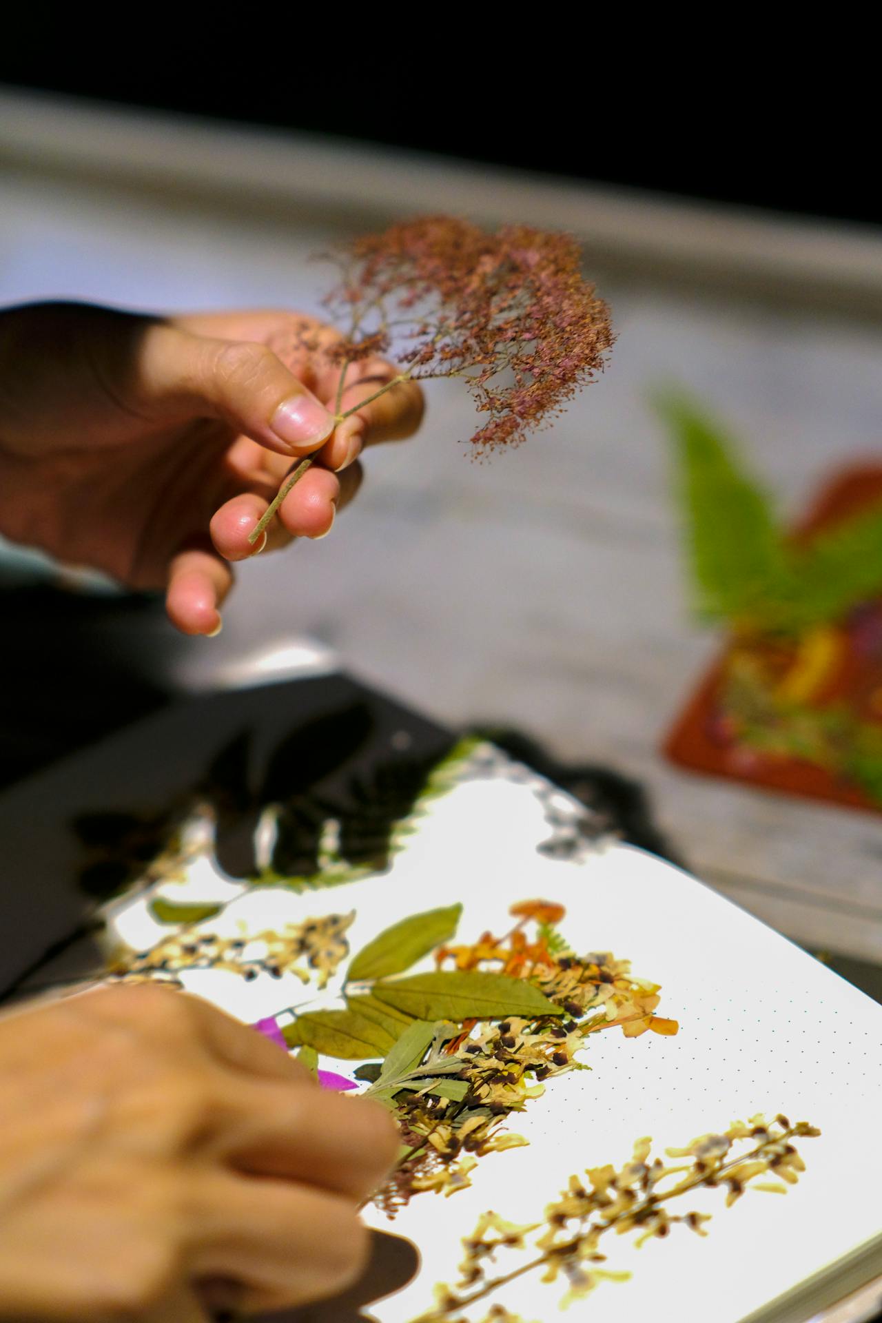 Nói với tuổi hai mươi | Chương 04