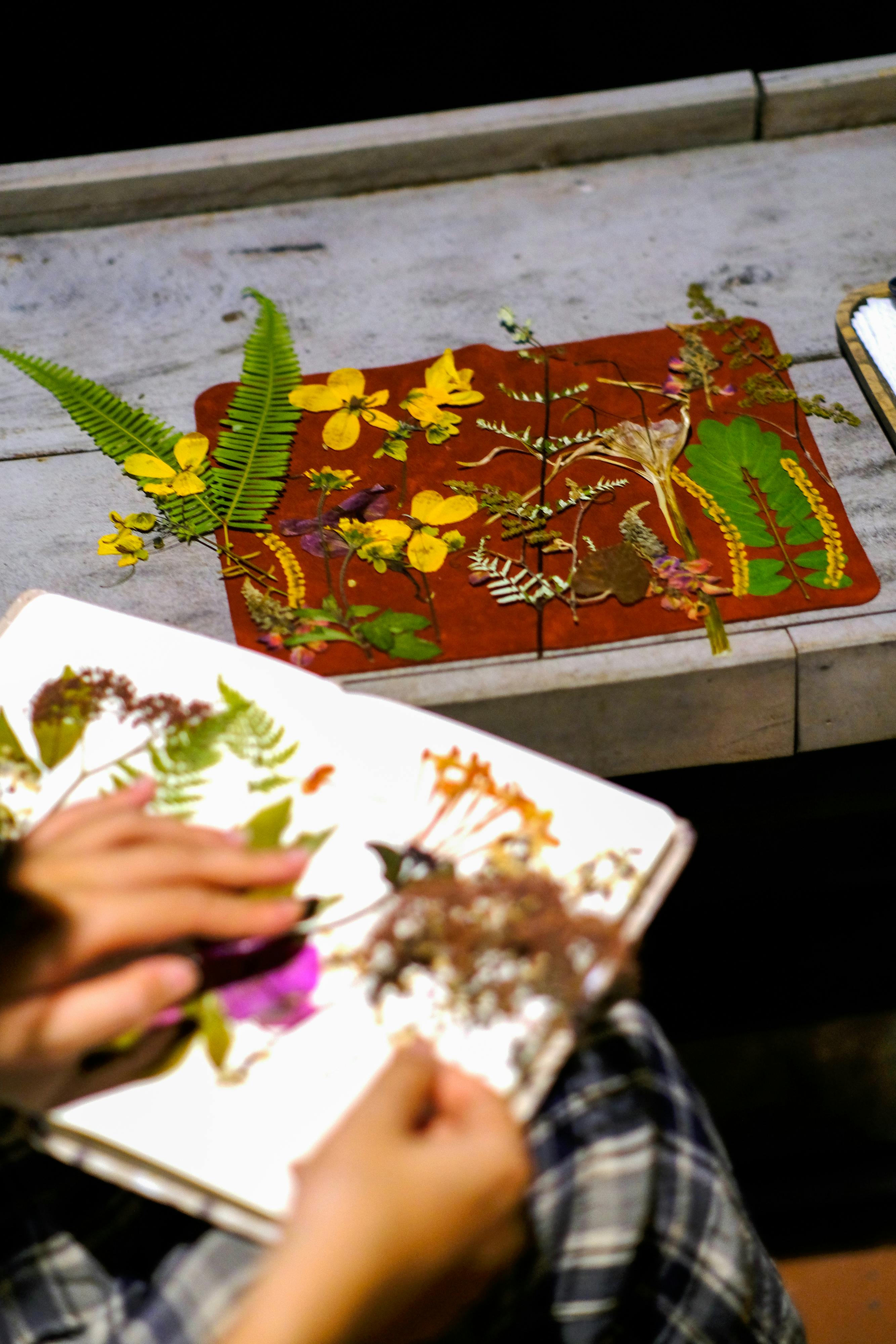 Trung tâm nghiên cứu văn học, phát triển nhà văn Việt Nam