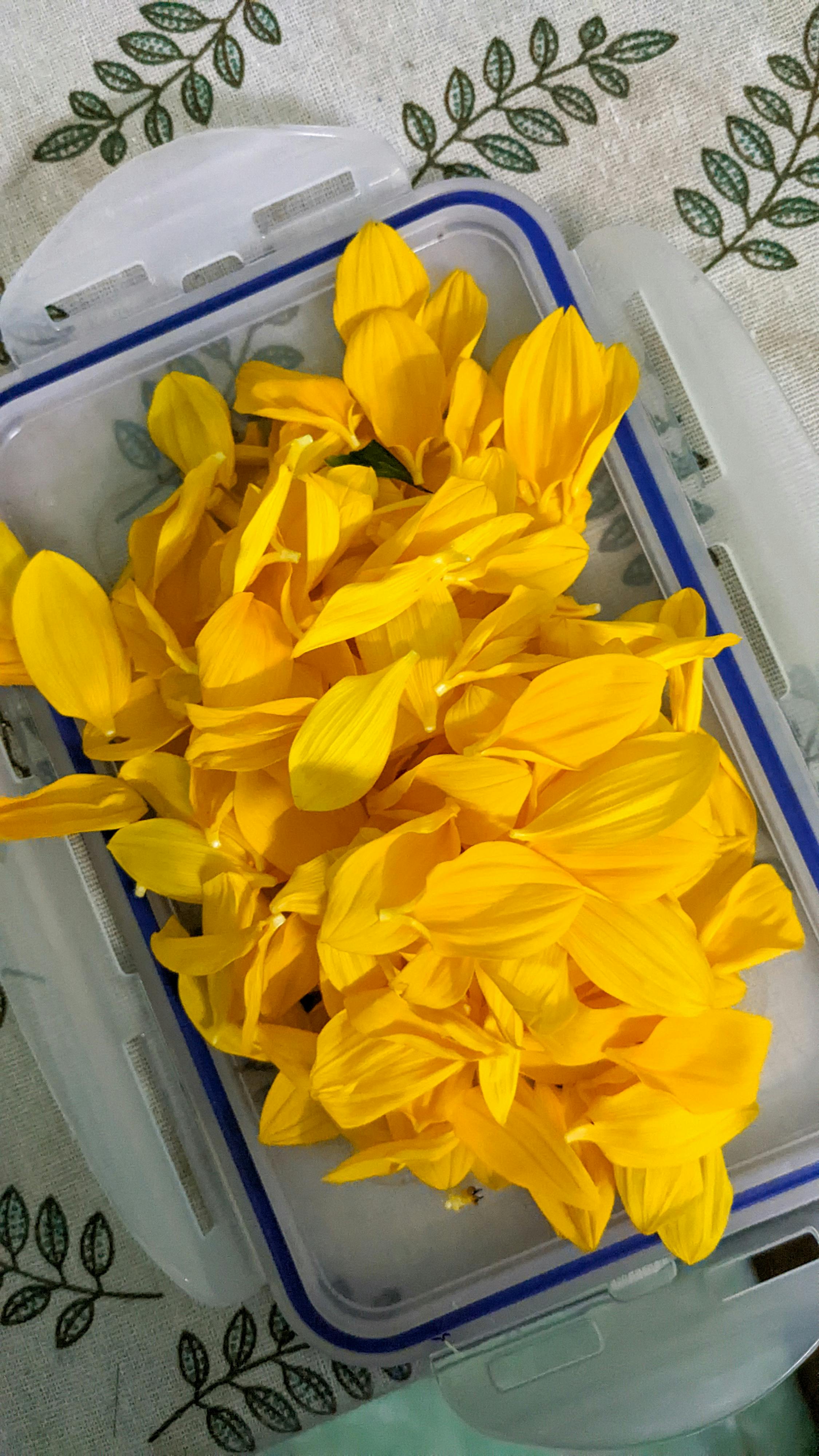 Gián điệp mạng | Chương 26 471 – clifford stoll, gian diep mang, an ninh mang, thu vien, van hoc, van hoc nuoc ngoai, gian diep mang chuong 26, gian diep mang 26.