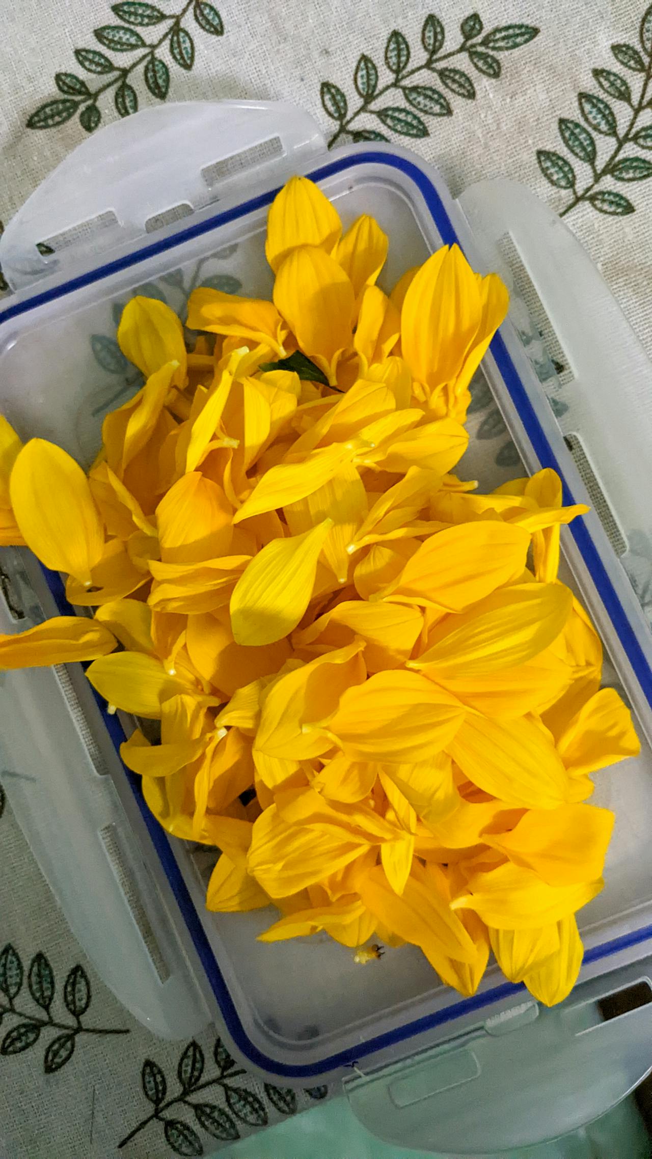 Chim lửa | Chương 86