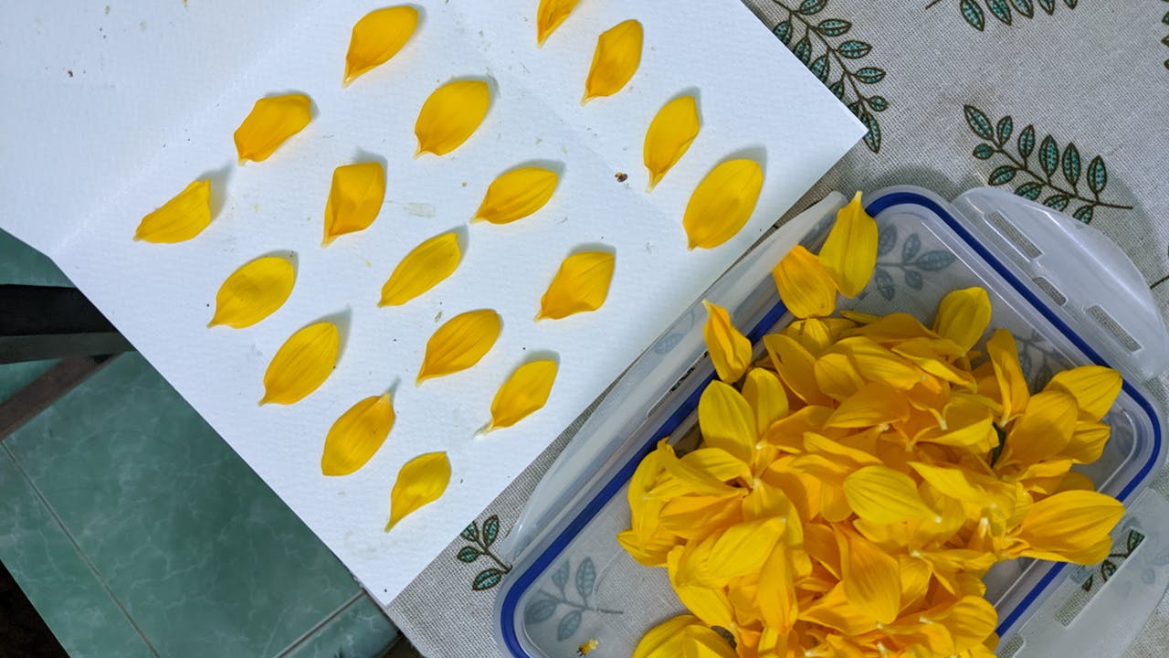 Thám tử lừng danh Conan | Chương 0414