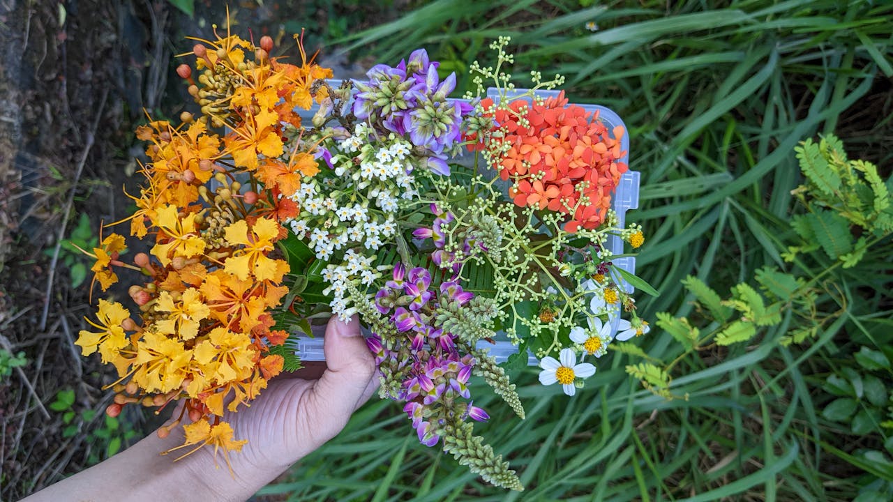 Thách thức của nội tại cản đường đến thành công